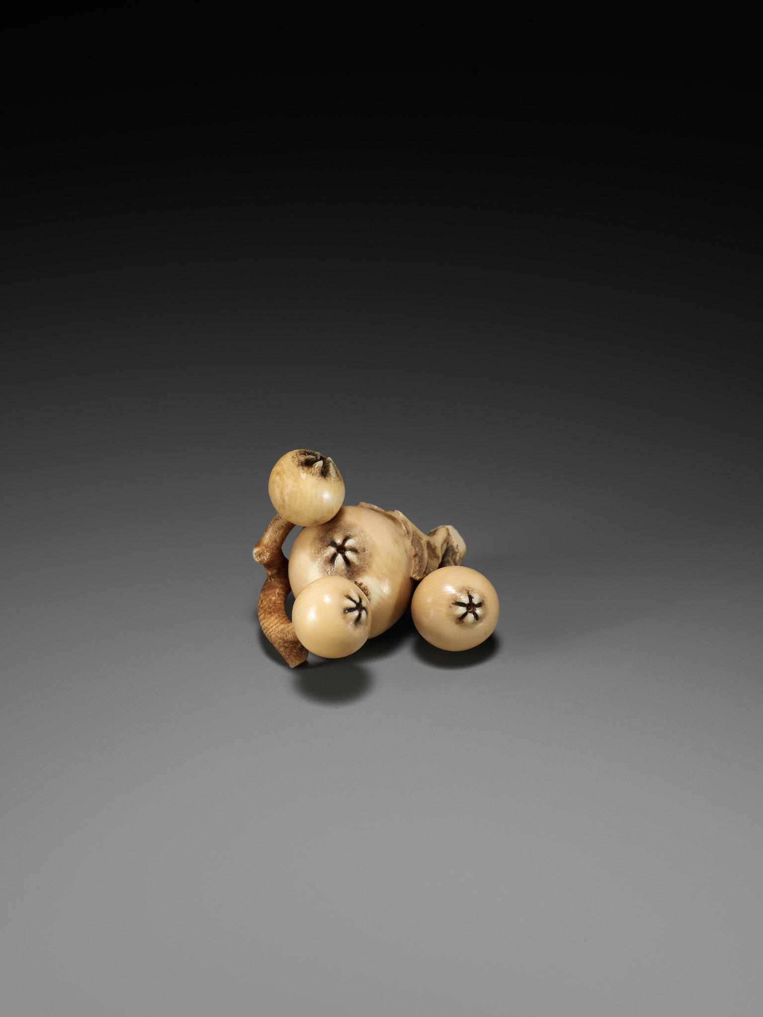 MITSUHIRO: A FINE IVORY NETSUKE OF A BIWA (LOQUAT) - Image 12 of 16