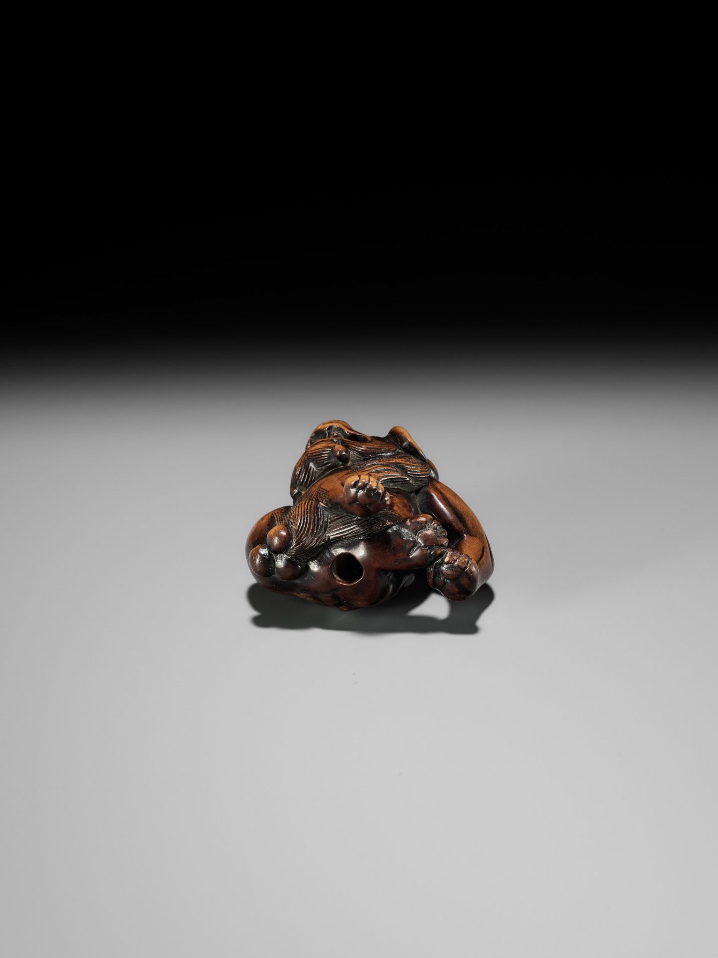 A WOOD NETSUKE OF A SHISHI SCRATCHING ITS JOWL, ATTRIBUTED TO RISUKE GARAKU - Image 12 of 12