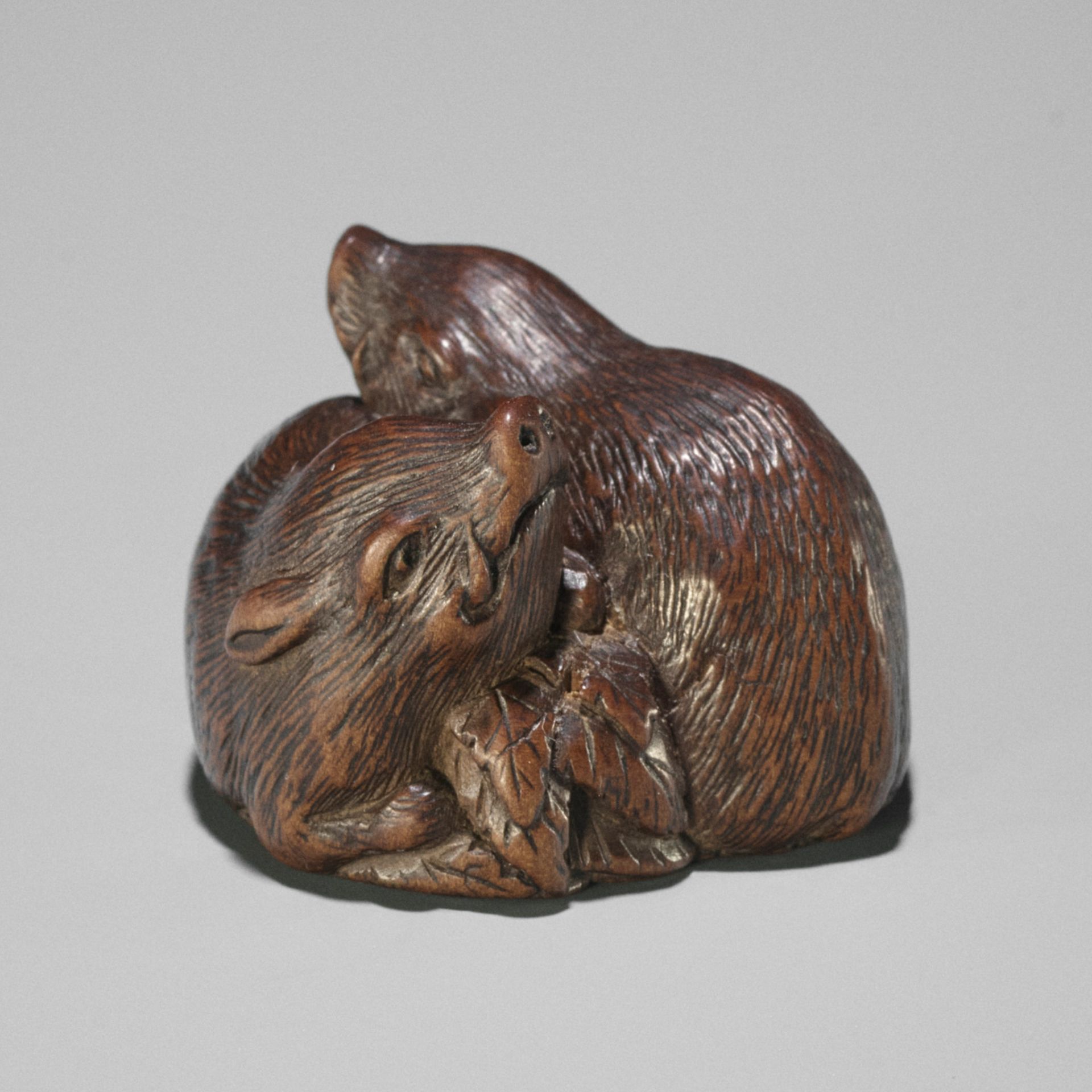 TAMETAKA: A WOOD NETSUKE OF TWO BOARS