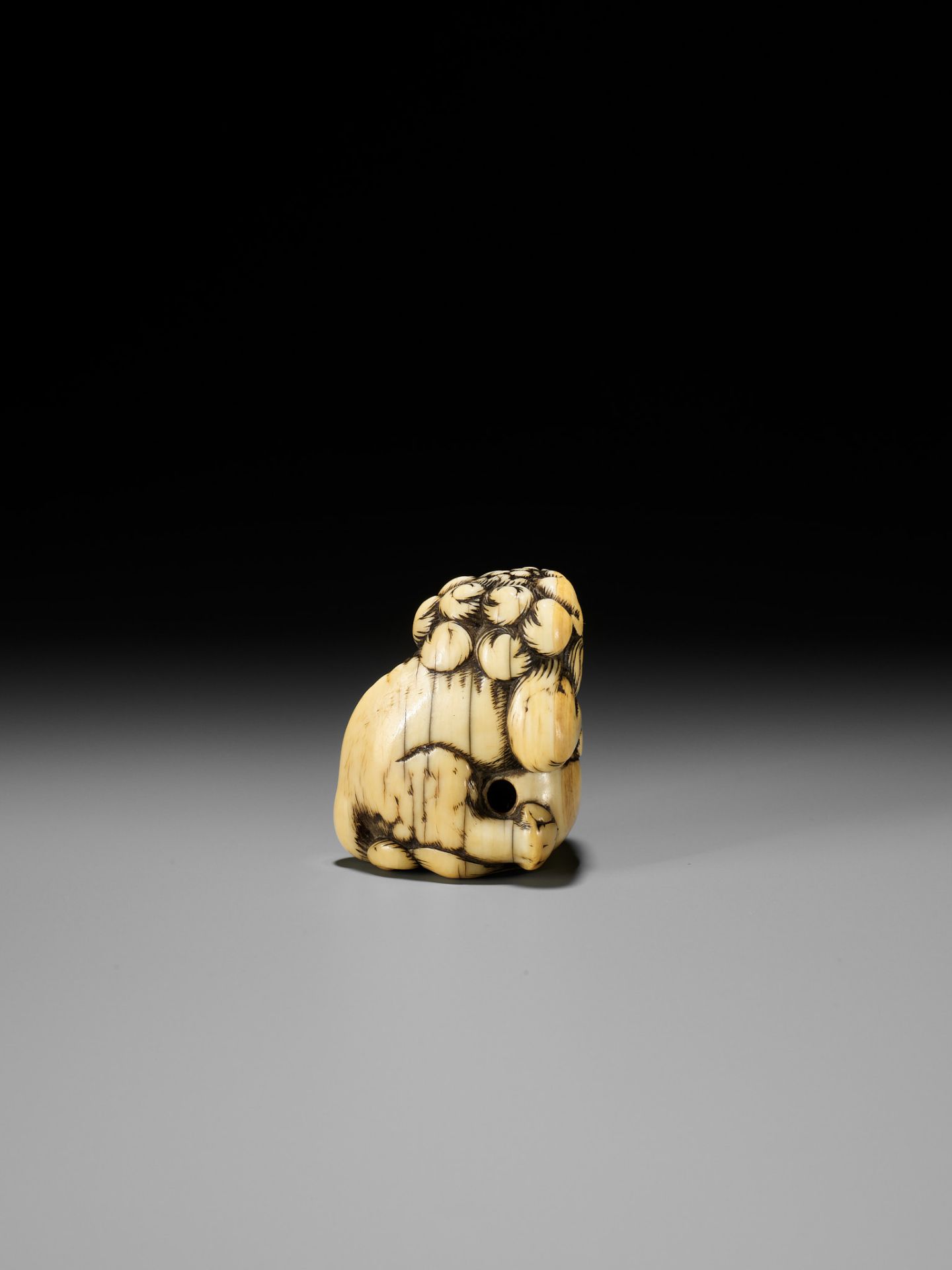 AN IVORY NETSUKE OF A SNARLING SHISHI WITH BALL - Bild 10 aus 13