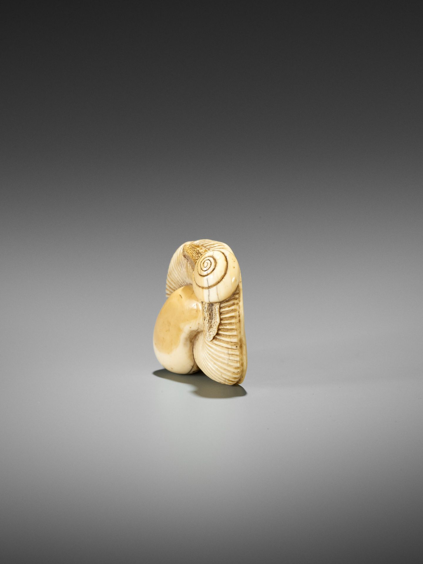 A FINE IVORY NETSUKE OF A SNAIL ON LARGE MUSHROOM - Bild 6 aus 15