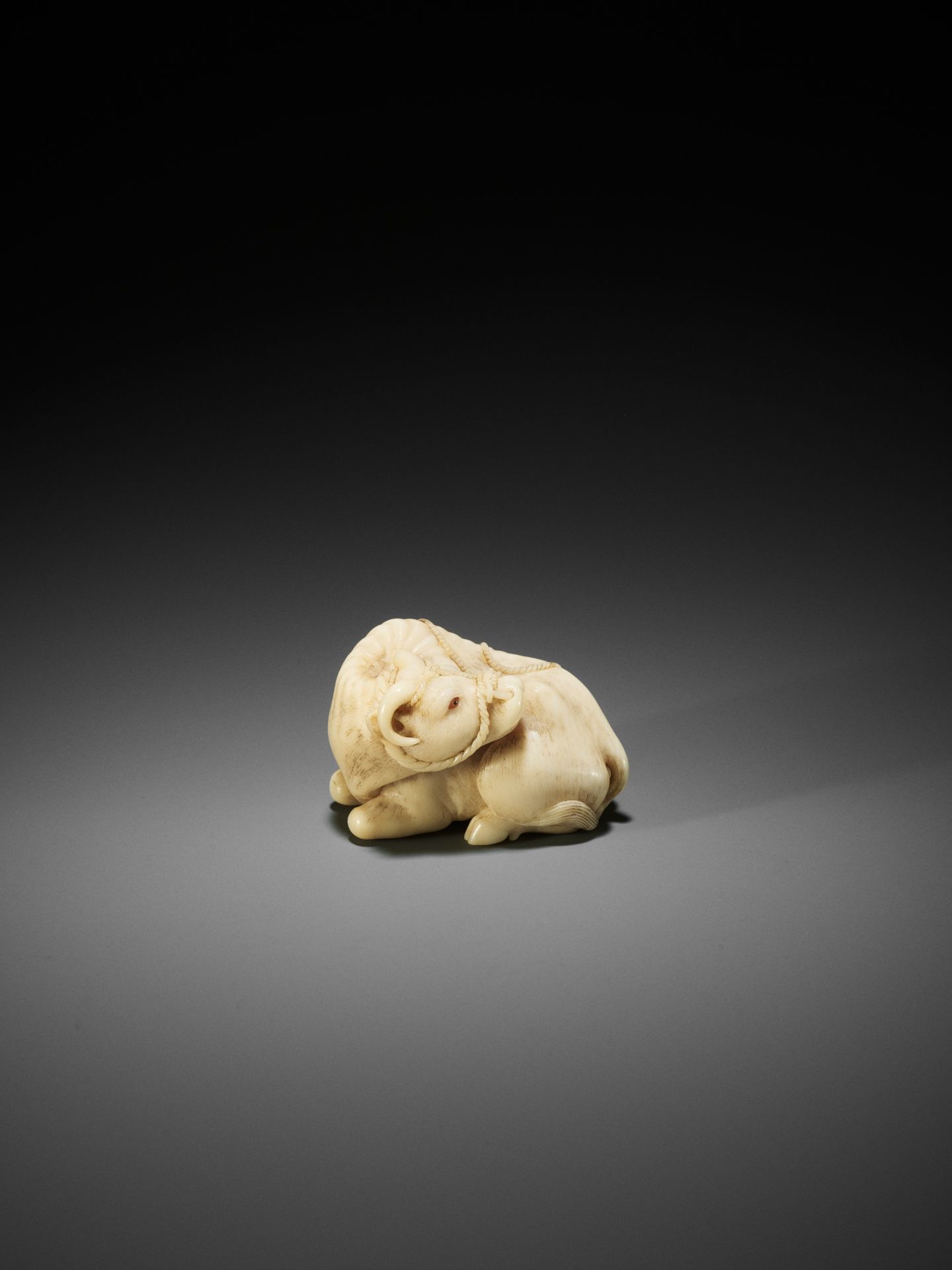 KAIGYOKUSAI MASATSUGU: A MASTERFUL AND IMPORTANT IVORY NETSUKE OF A RECUMBENT OX - Image 2 of 30