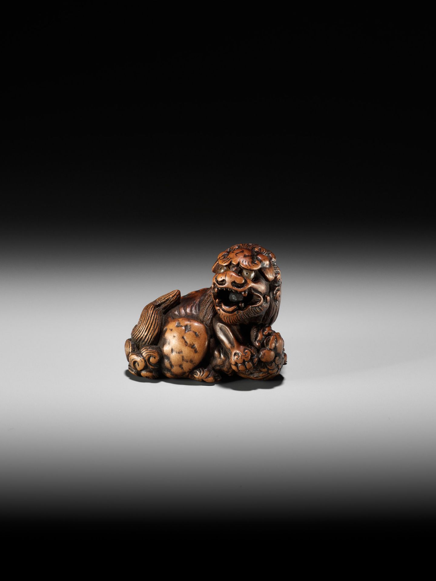 A FINE TANBA SCHOOL WOOD NETSUKE OF A SHISHI WITH YOUNG - Image 2 of 10