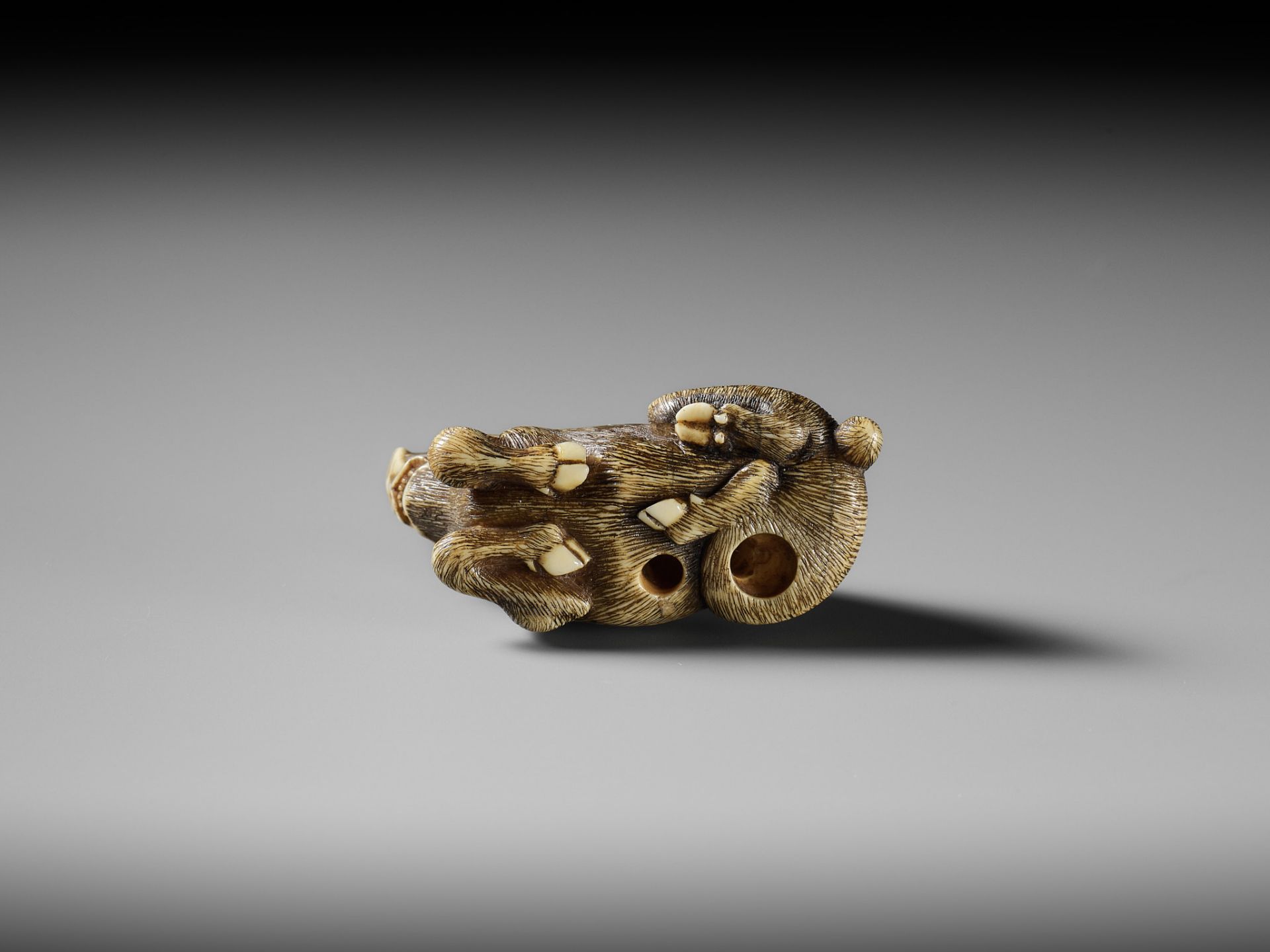 A KYOTO SCHOOL IVORY NETSUKE OF A FRIGHTENED RECLINING BOAR - Image 4 of 13