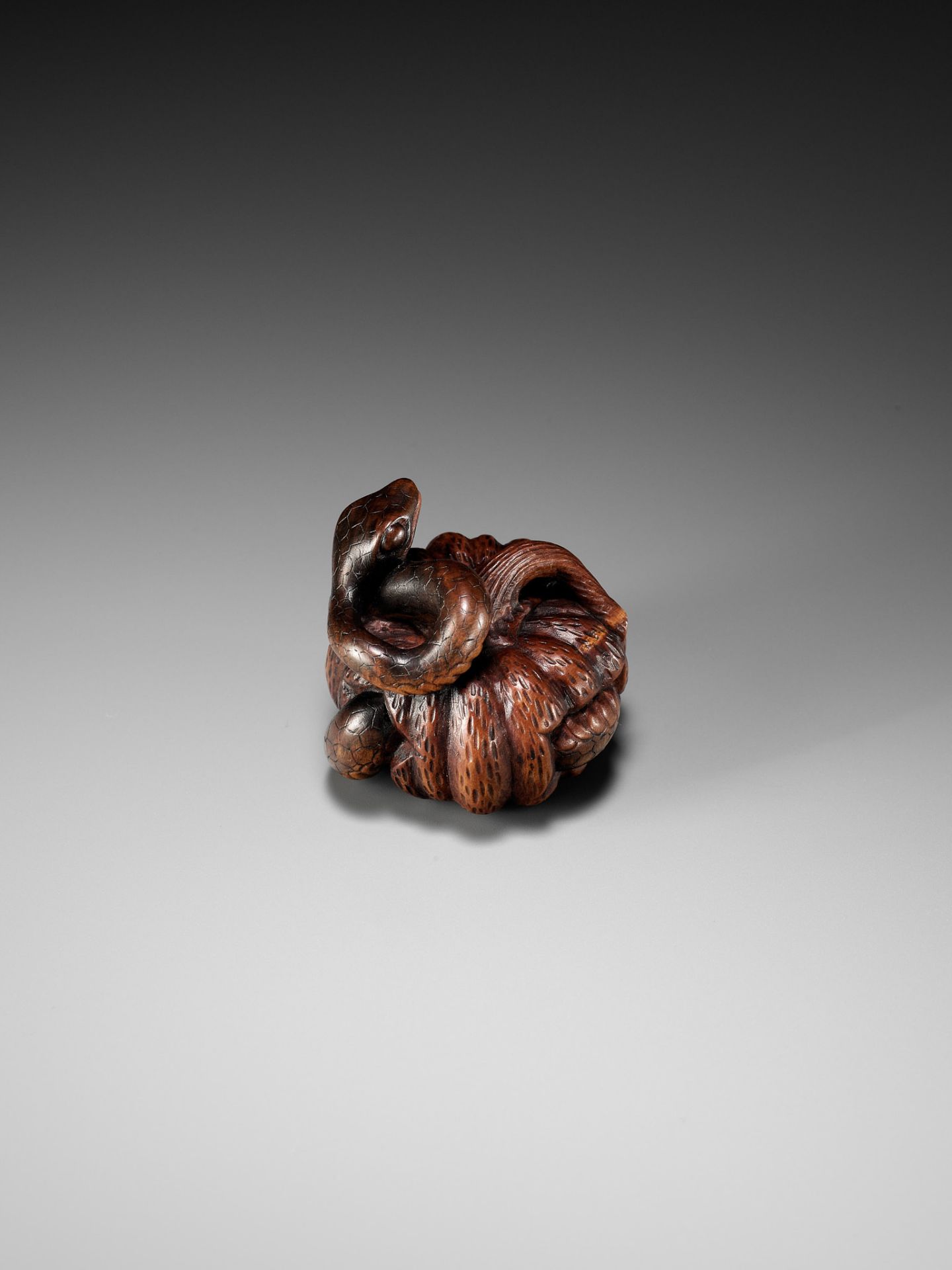 SHIGEMASA: A FINE NAGOYA SCHOOL WOOD NETSUKE OF SNAKE WINDING THROUGH A PUMPKIN - Image 8 of 11