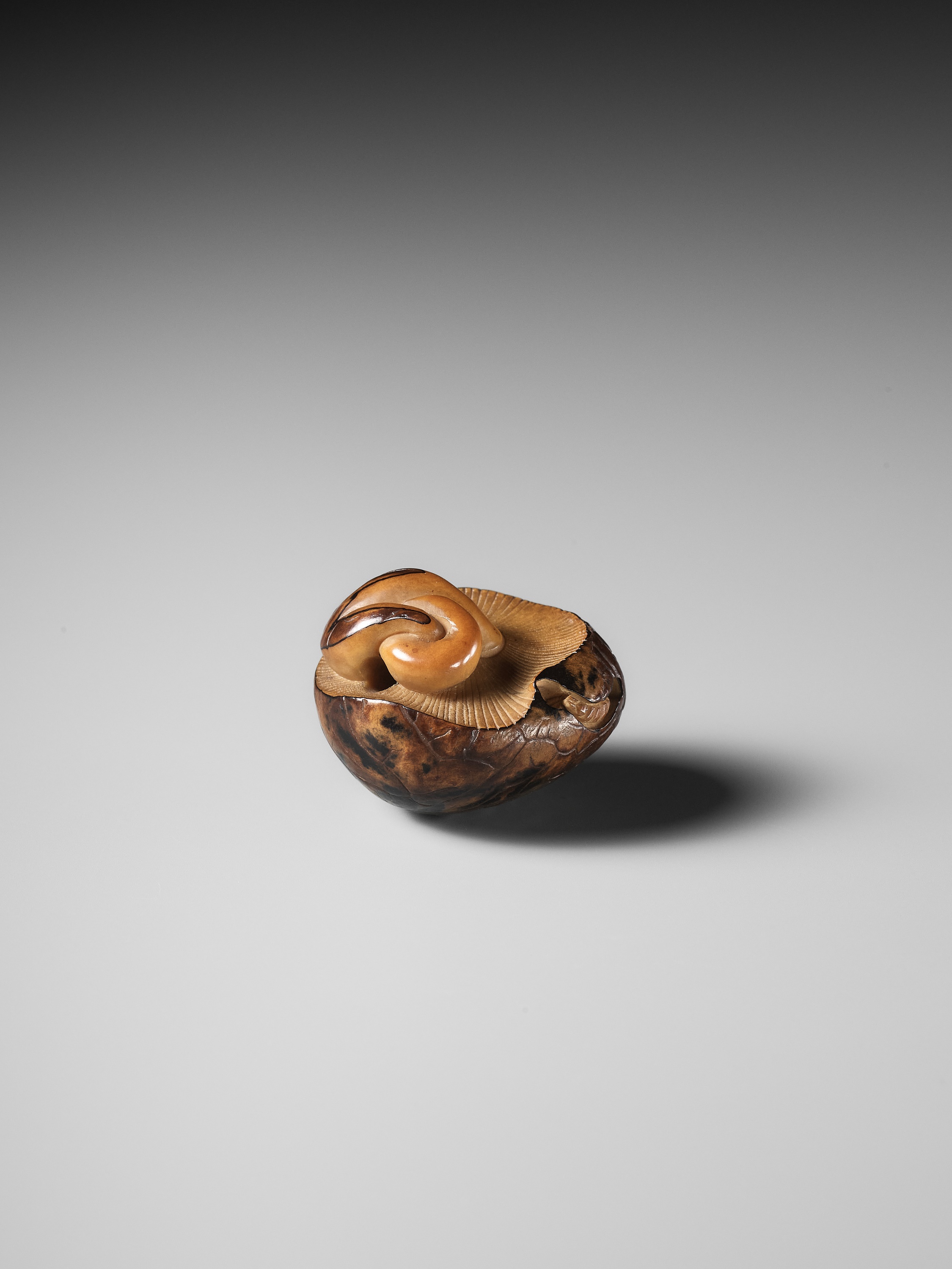 YOSHIMASA: A RARE COROZO NUT NETSUKE OF TWO MUSHROOMS AND A WORM - Image 4 of 11