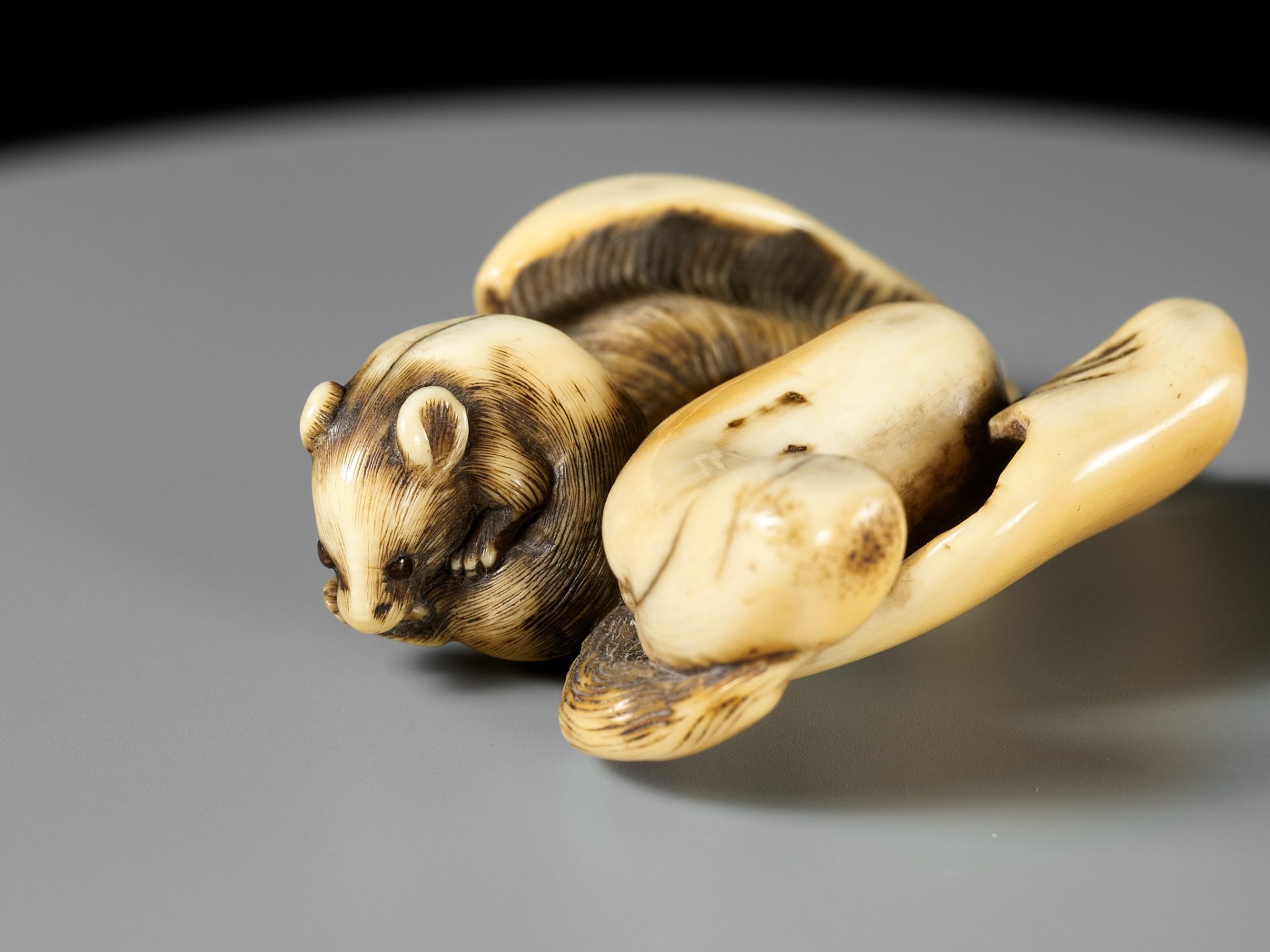 A FINE KYOTO SCHOOL IVORY NETSUKE OF A SQUIRREL ON MUSHROOM - Image 4 of 13