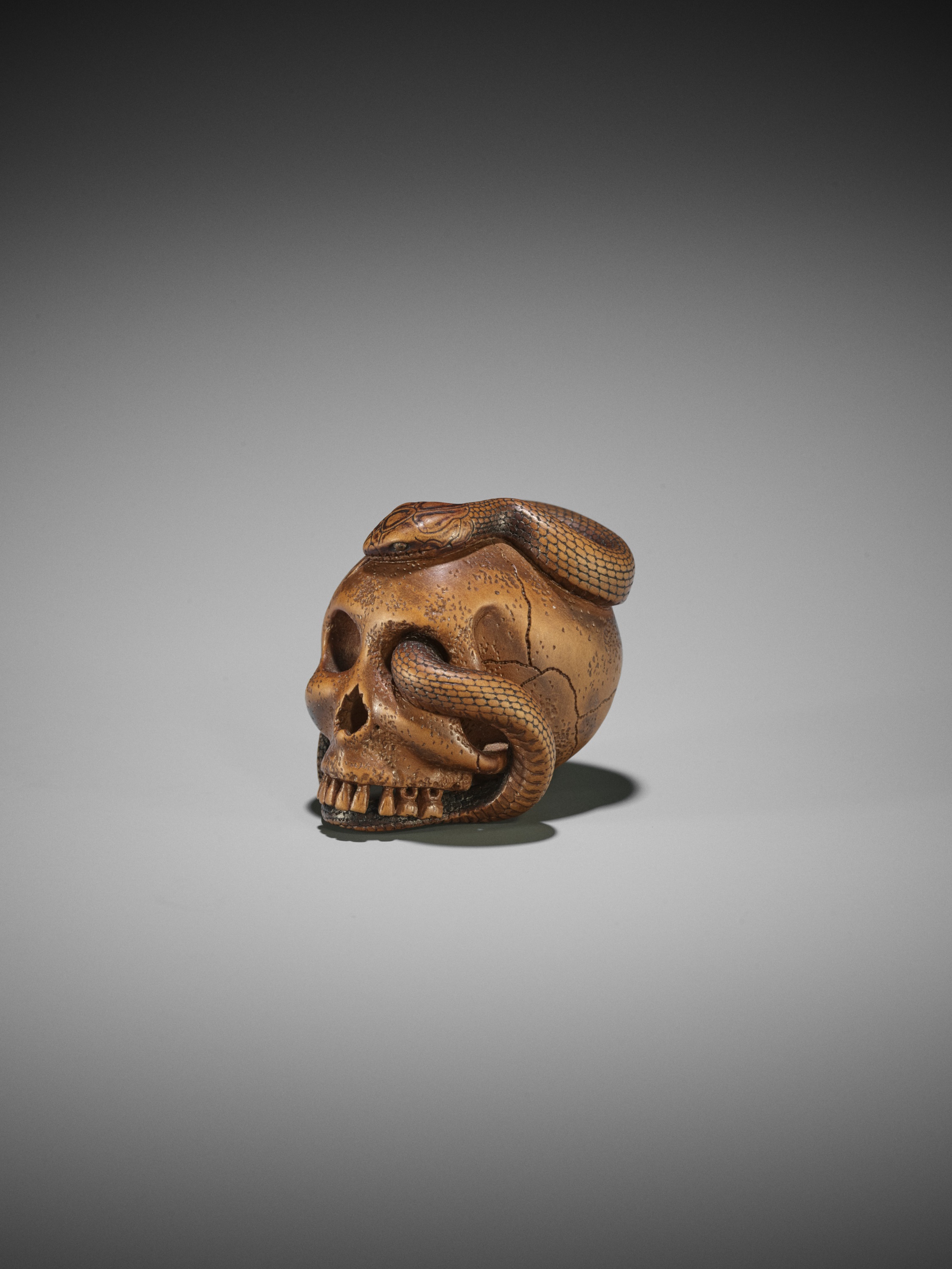 SUKEYUKI: A MASTERFUL WOOD NETSUKE OF A SNAKE AND SKULL - Image 11 of 19