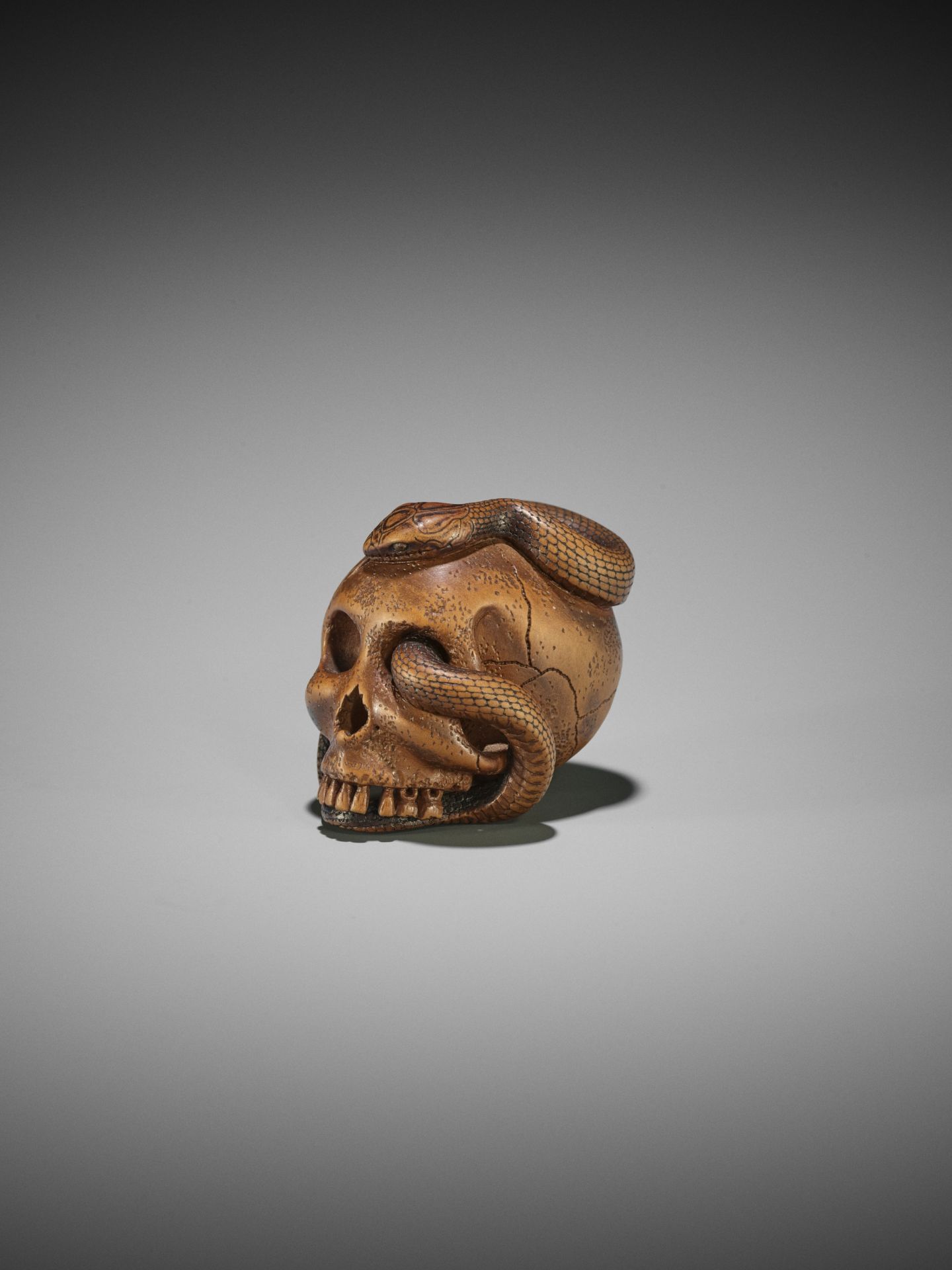 SUKEYUKI: A MASTERFUL WOOD NETSUKE OF A SNAKE AND SKULL - Bild 11 aus 19