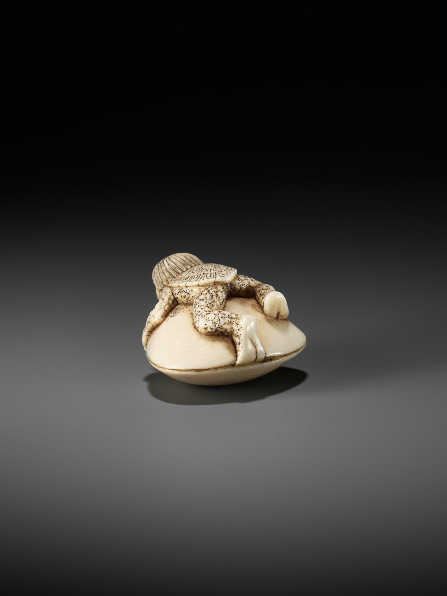 AN IVORY NETSUKE OF A KAPPA TRAPPED BY A HAMAGURI CLAM - Bild 6 aus 11