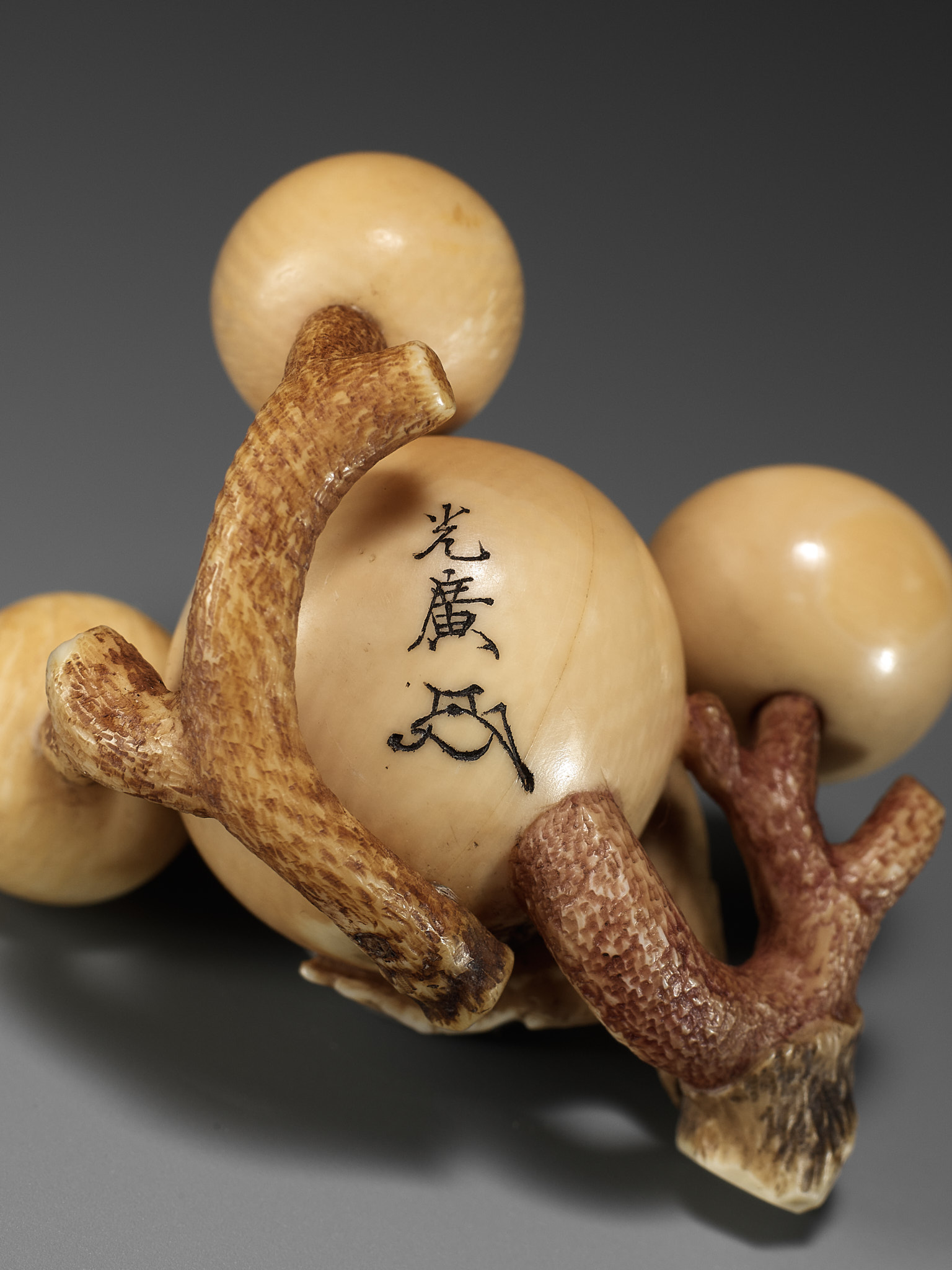 MITSUHIRO: A FINE IVORY NETSUKE OF A BIWA (LOQUAT) - Image 15 of 16