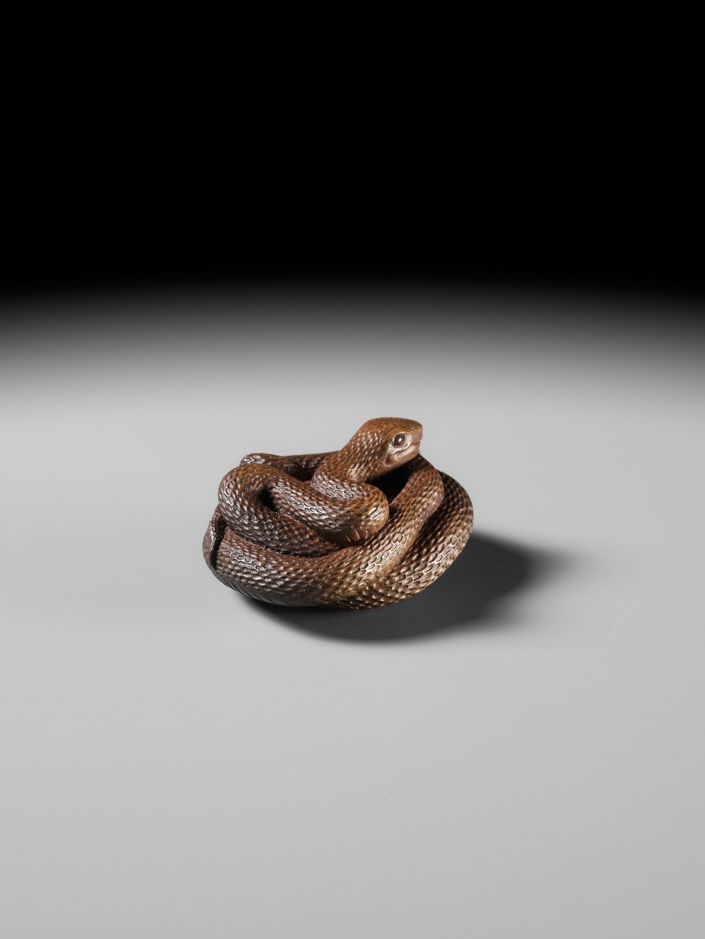 MASAKAZU: A FINE WOOD NETSUKE OF A COILED SNAKE - Image 10 of 15