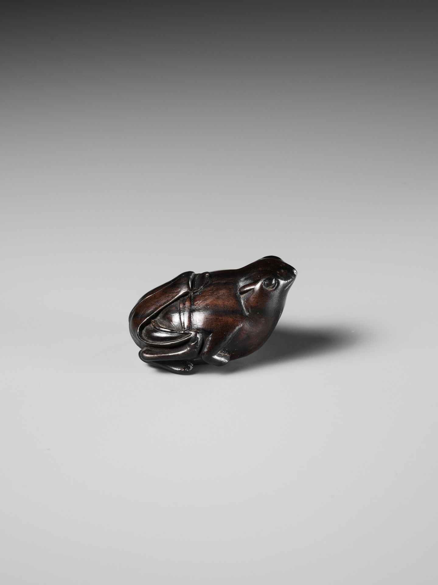 A RARE DARK WOOD NETSUKE OF A SUMO WRESTLING FROG - Image 10 of 13