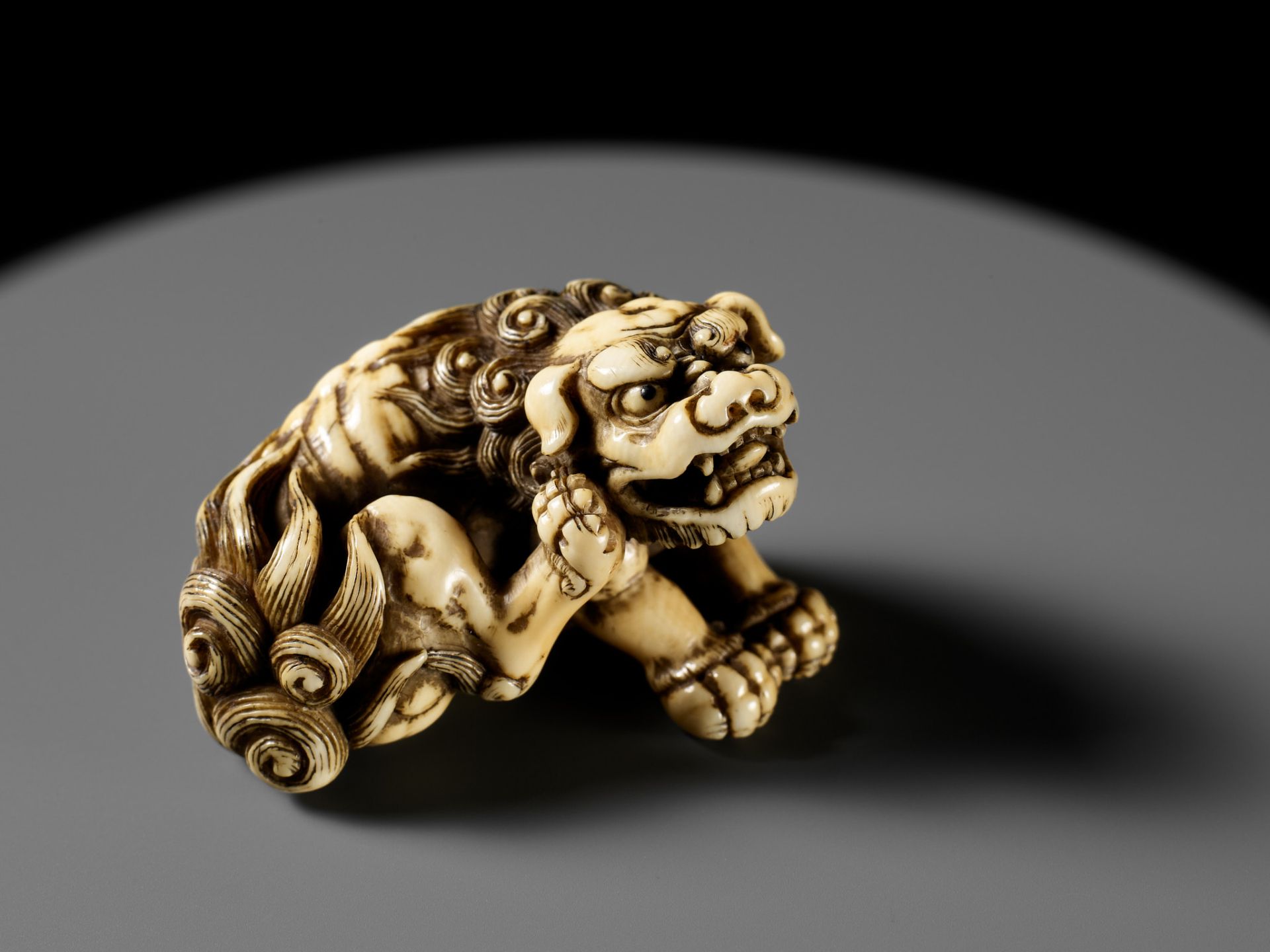 TOMOTADA: A SUPERB IVORY NETSUKE OF A RECUMBENT SHISHI SCRATCHING ITS JOWL - Bild 23 aus 24