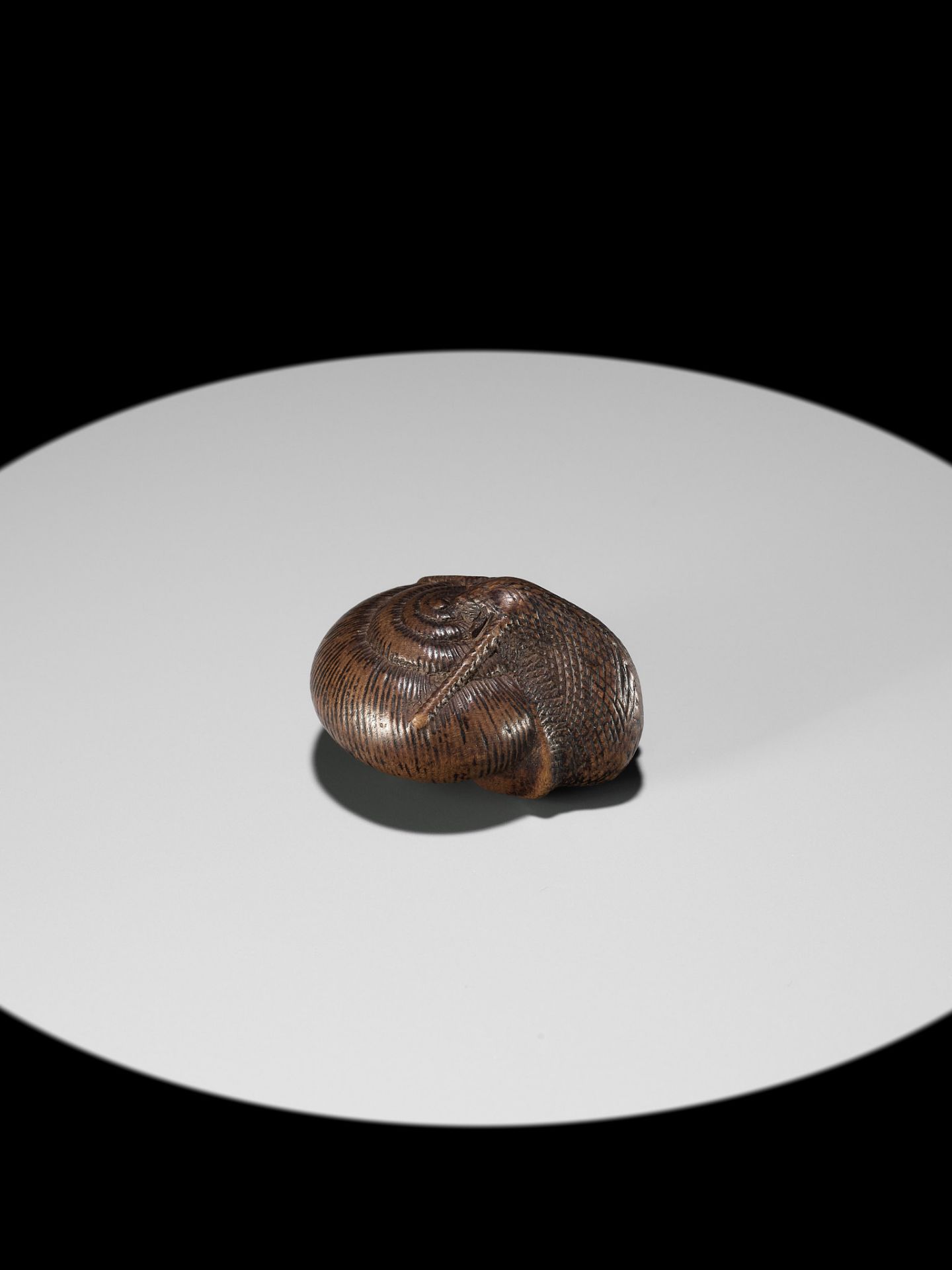 SARI: A FINE WOOD NETSUKE OF A SNAIL EMERGING FROM ITS SHELL - Bild 10 aus 17