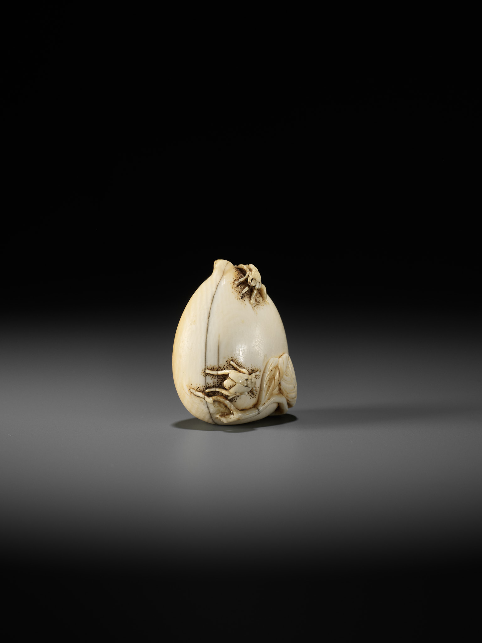 AN IVORY NETSUKE OF A PEACH WITH INSECTS - Image 6 of 10