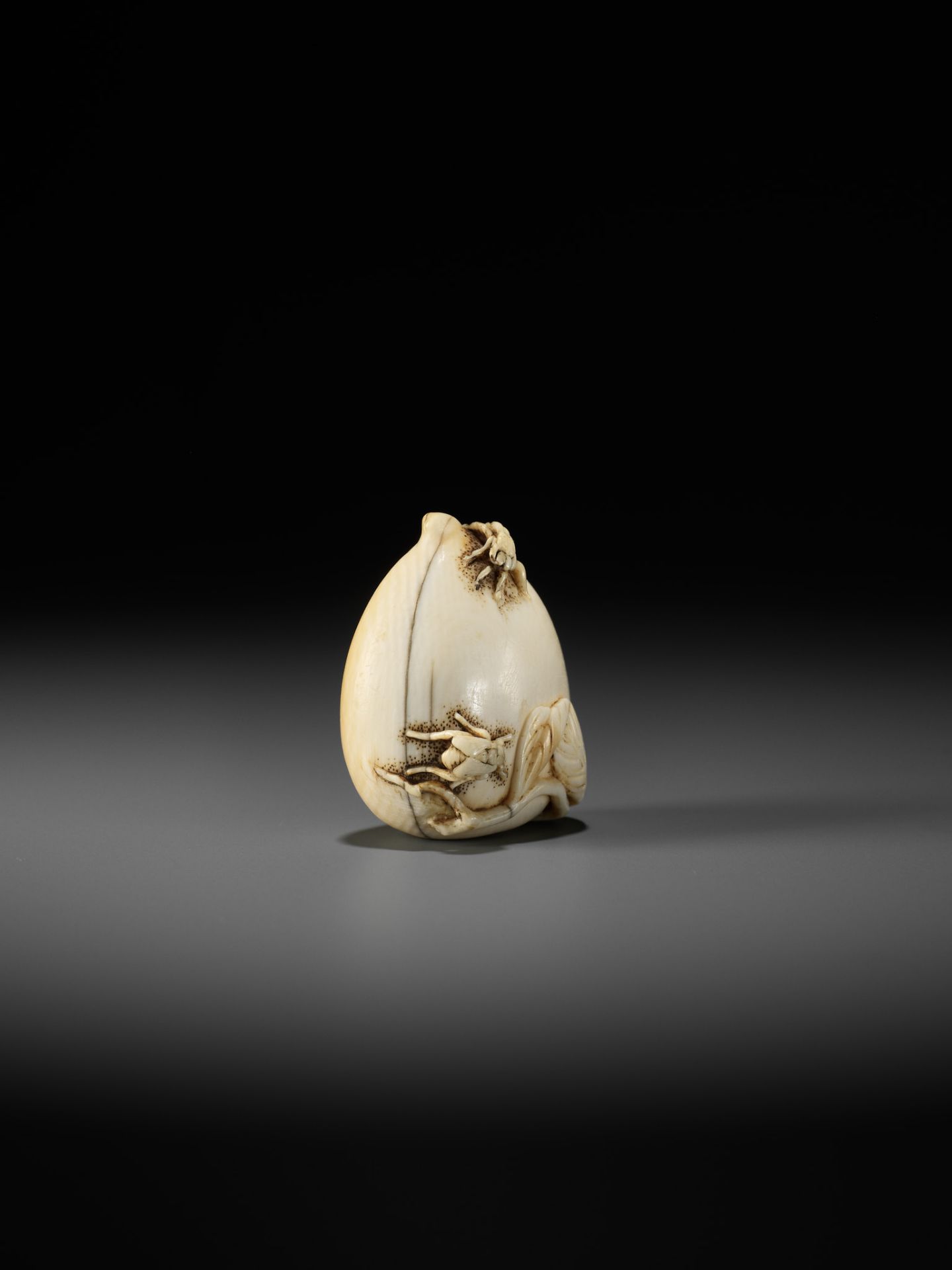 AN IVORY NETSUKE OF A PEACH WITH INSECTS - Image 6 of 10