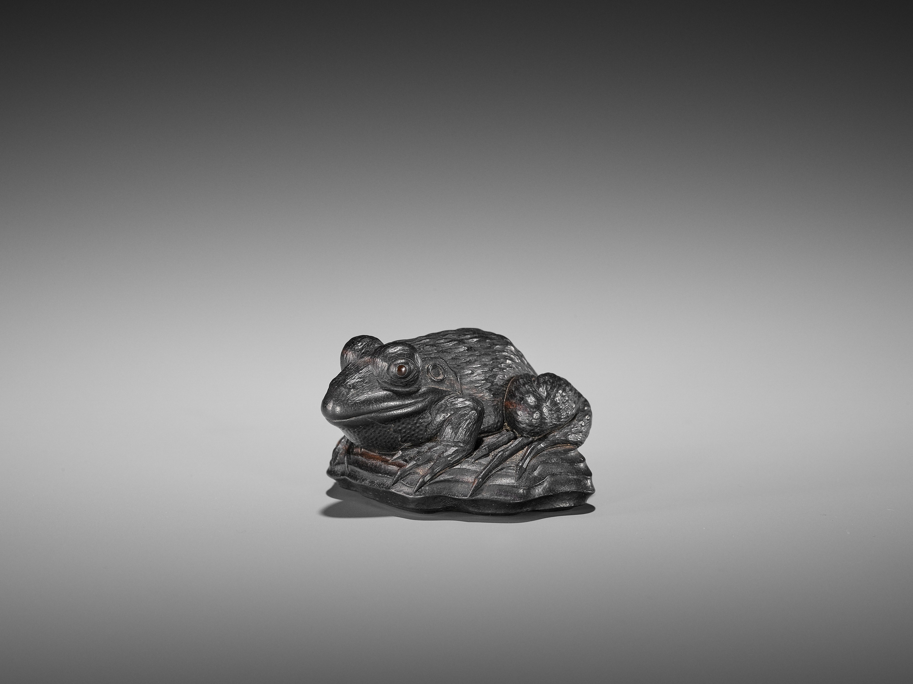 A SUPERB EBONY WOOD NETSUKE OF A FROG ON DRIFTWOOD ATTRIBUTED TO SEIYODO TOMIHARU - Image 18 of 20