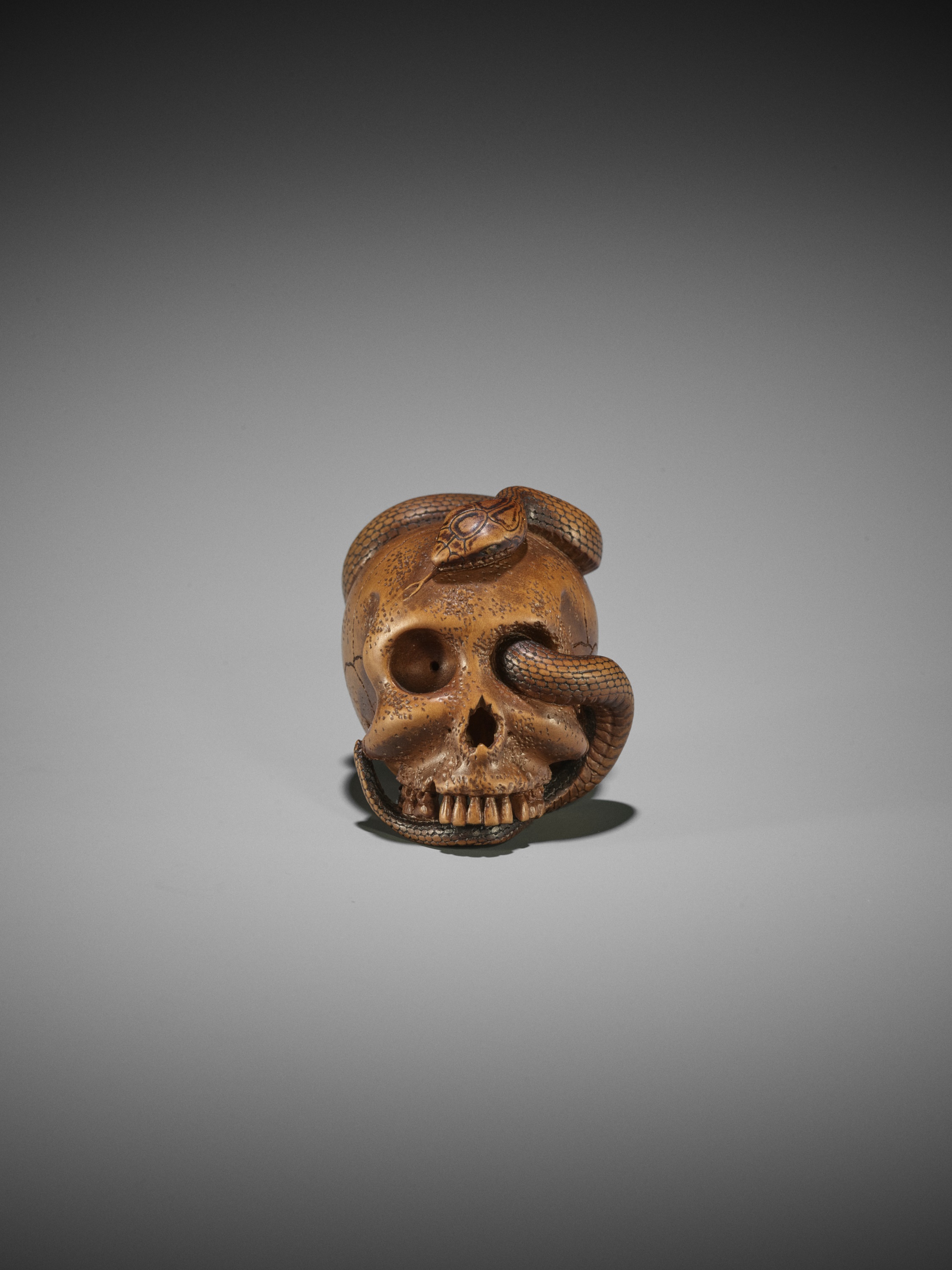 SUKEYUKI: A MASTERFUL WOOD NETSUKE OF A SNAKE AND SKULL - Image 17 of 19