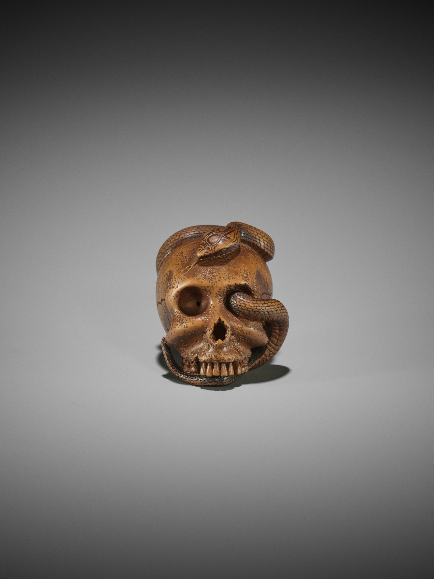 SUKEYUKI: A MASTERFUL WOOD NETSUKE OF A SNAKE AND SKULL - Bild 17 aus 19