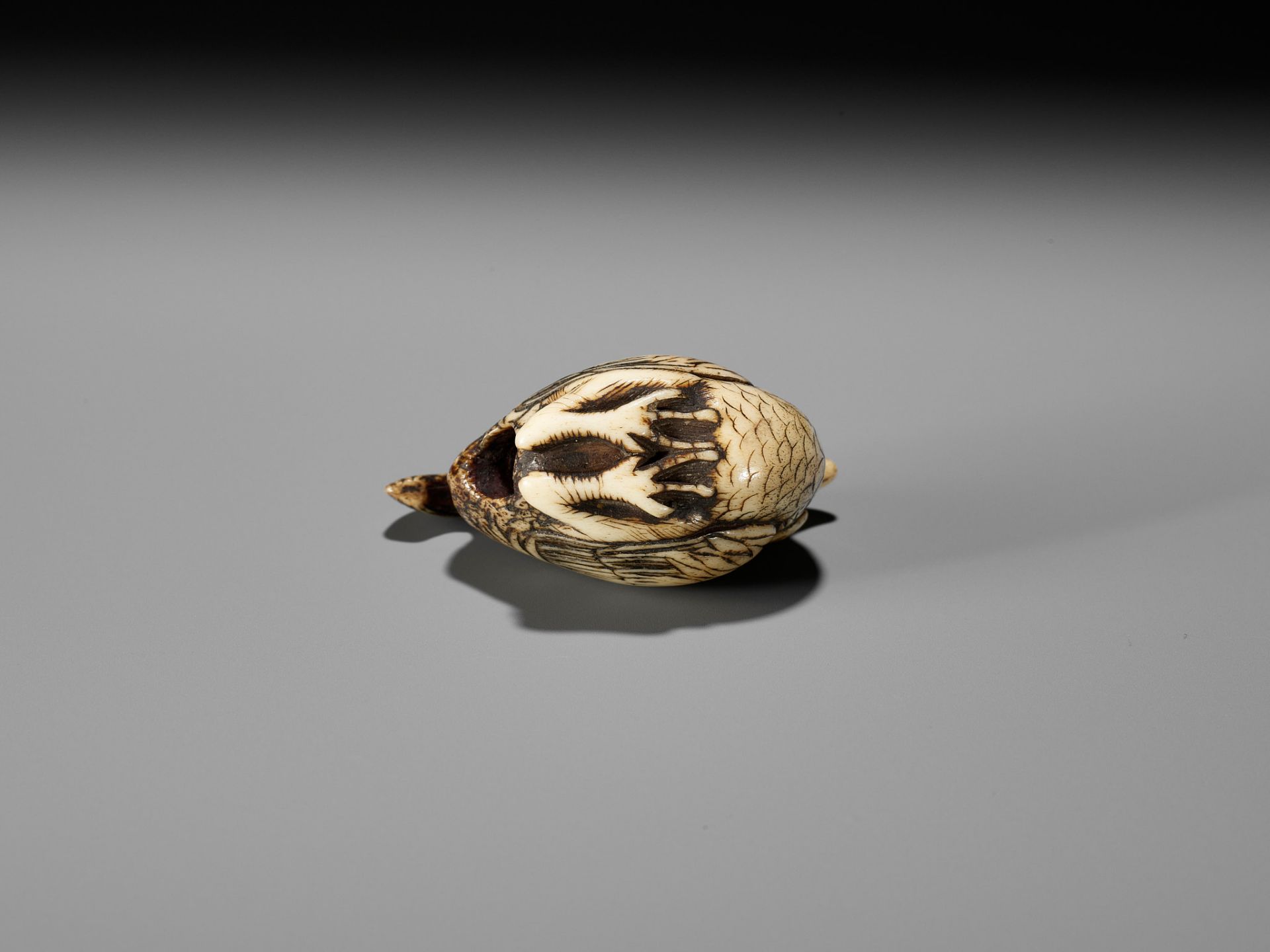 A RARE KYOTO SCHOOL ANTLER NETSUKE OF A COCKEREL - Bild 9 aus 9