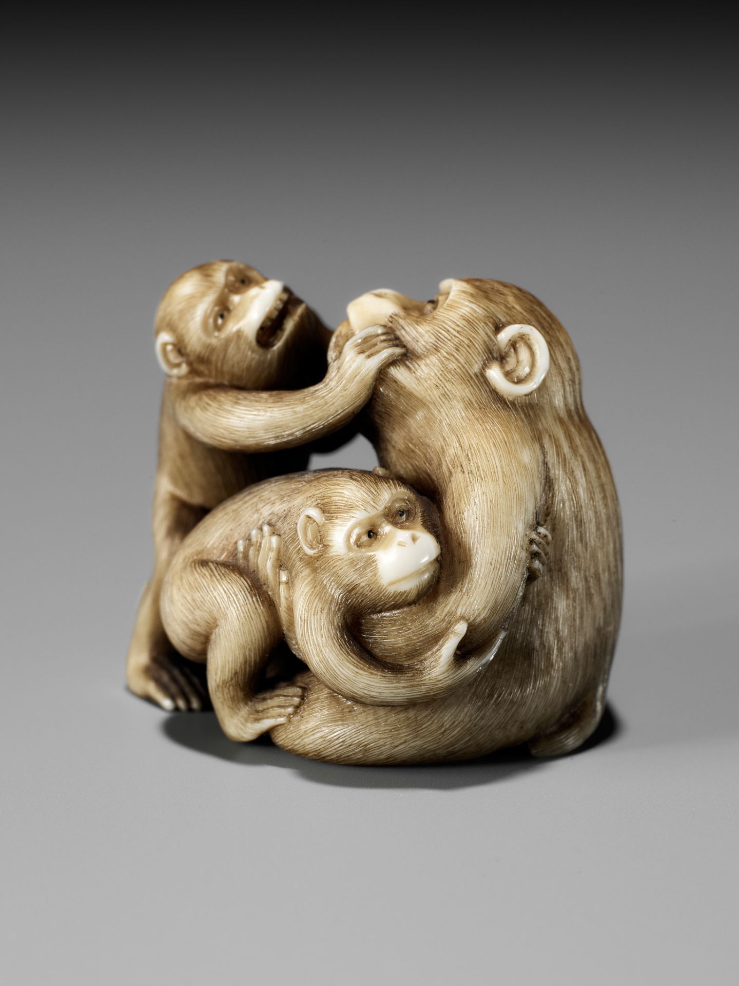 IKKOSAI: A FINE IVORY NETSUKE OF A MONKEY WITH TWO YOUNG - Bild 8 aus 17