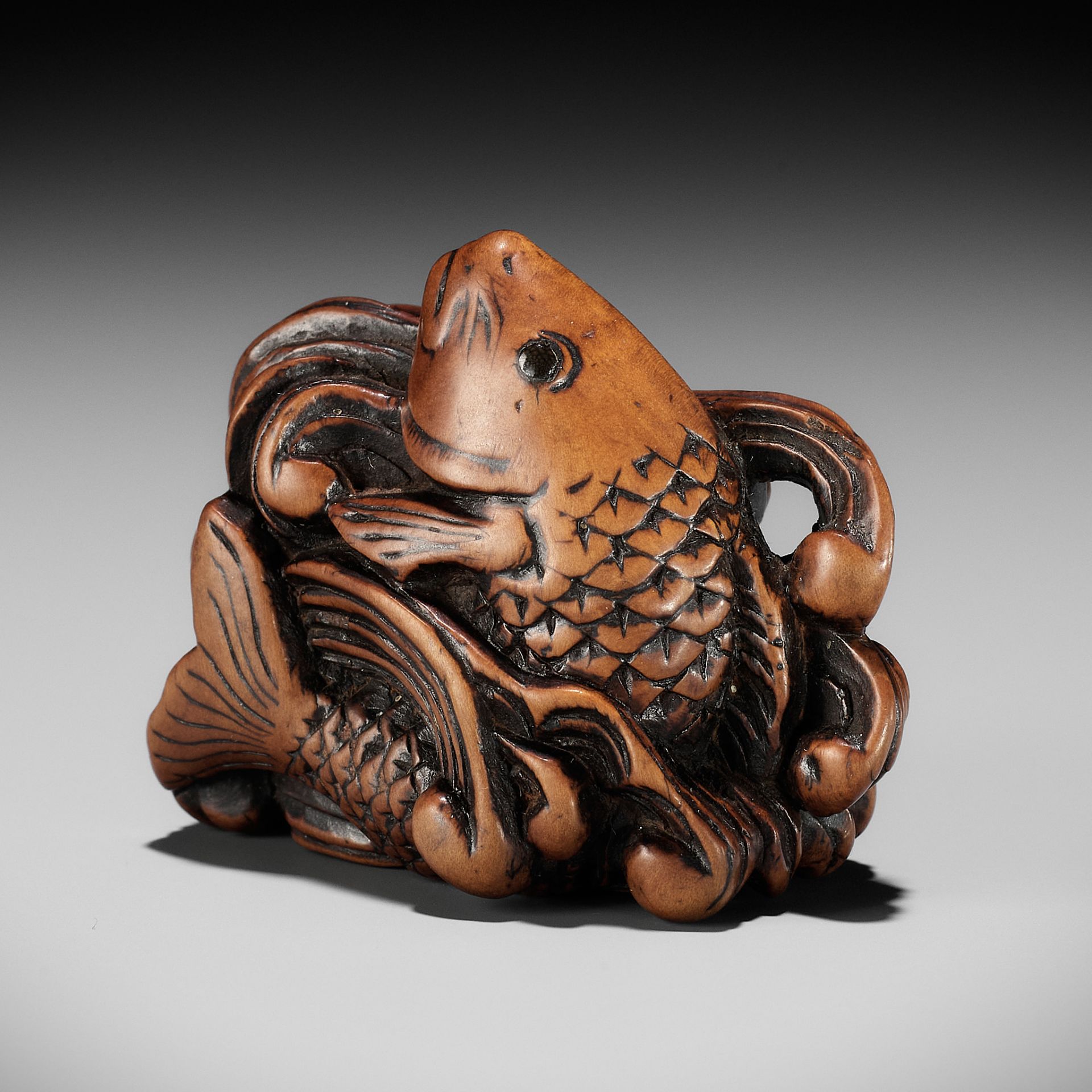 A SUPERB WOOD NETSUKE OF A LEAPING CARP AMONGST TURBULENT WAVES