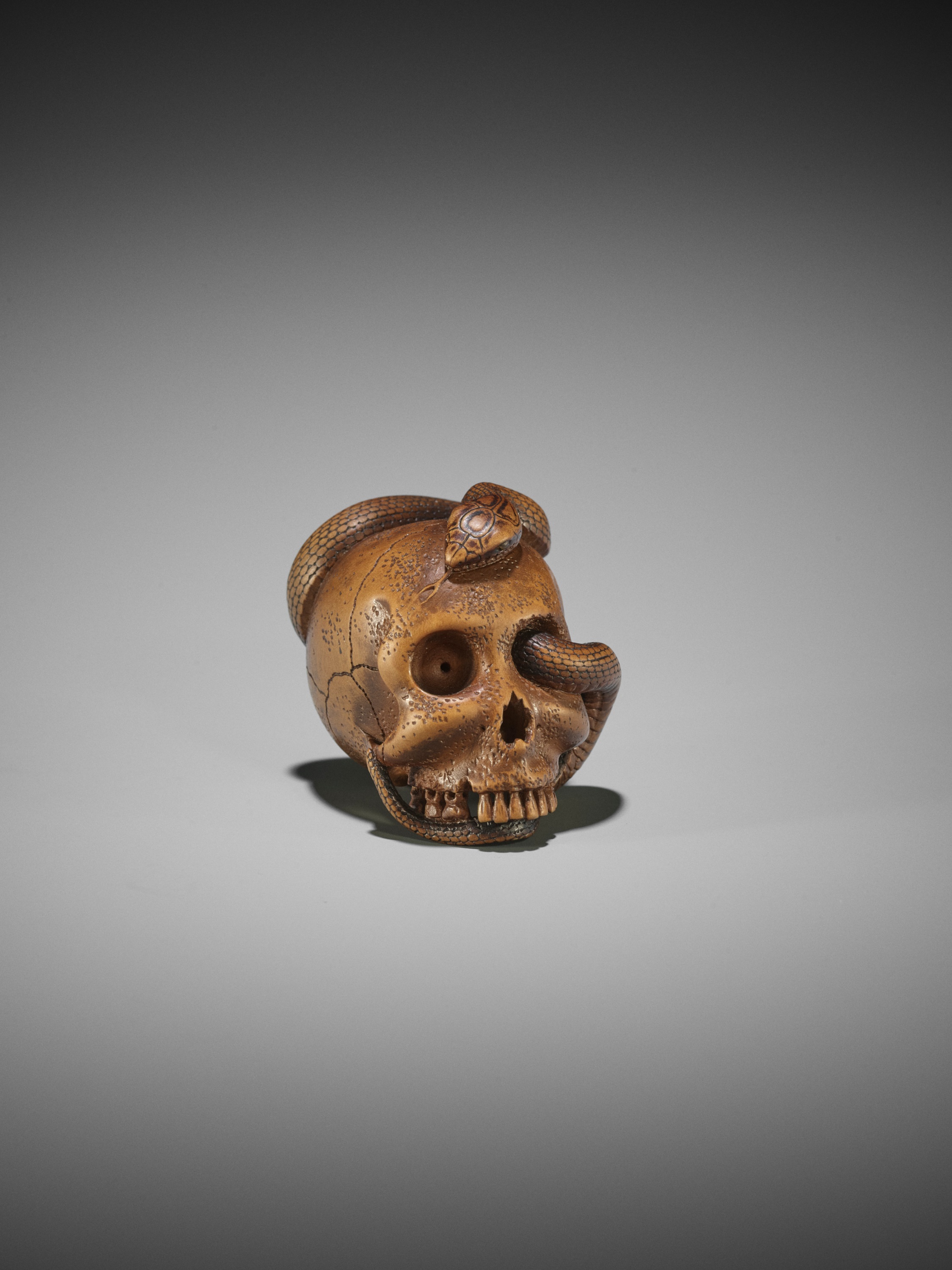 SUKEYUKI: A MASTERFUL WOOD NETSUKE OF A SNAKE AND SKULL - Image 16 of 19