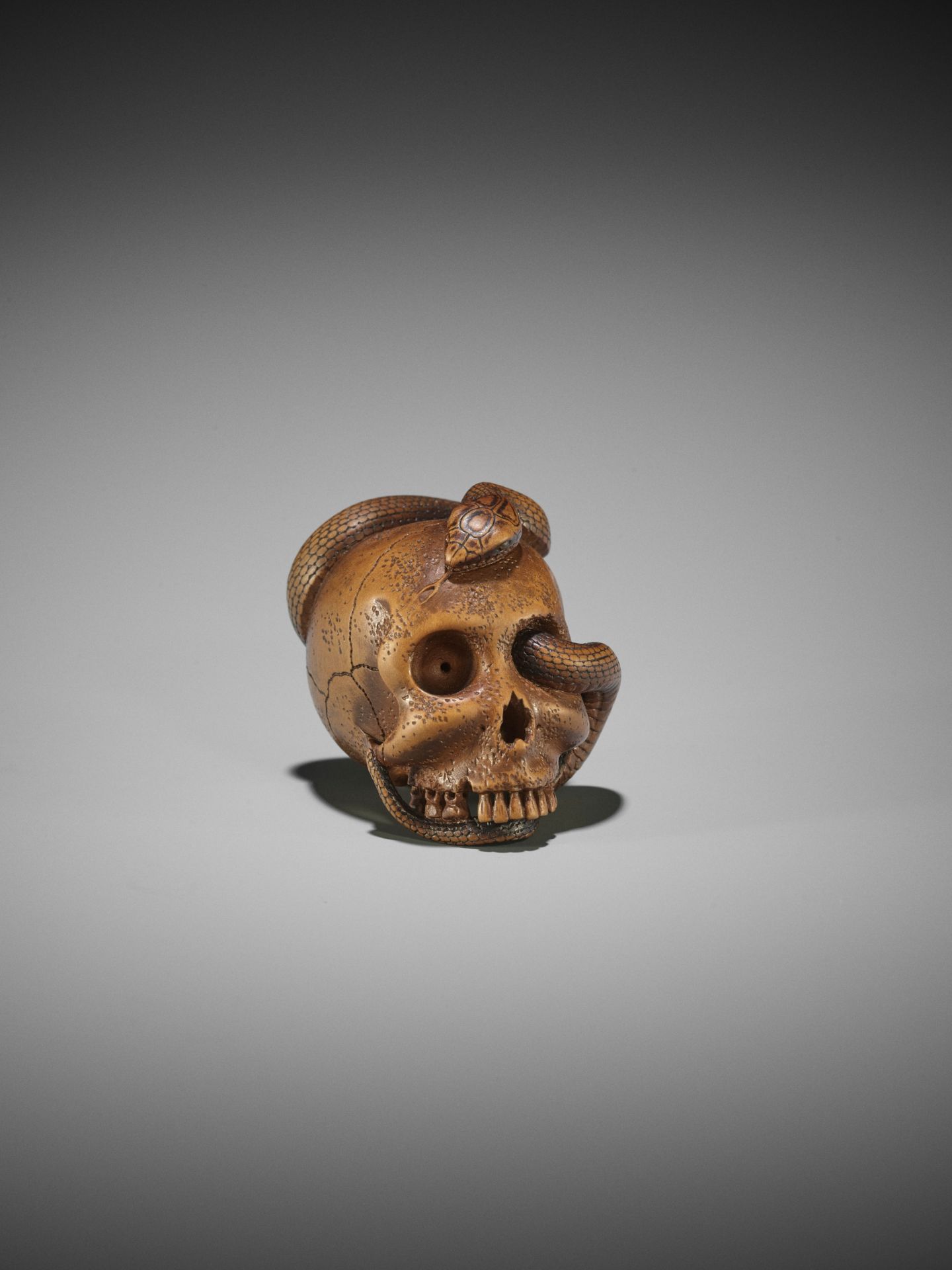 SUKEYUKI: A MASTERFUL WOOD NETSUKE OF A SNAKE AND SKULL - Bild 16 aus 19