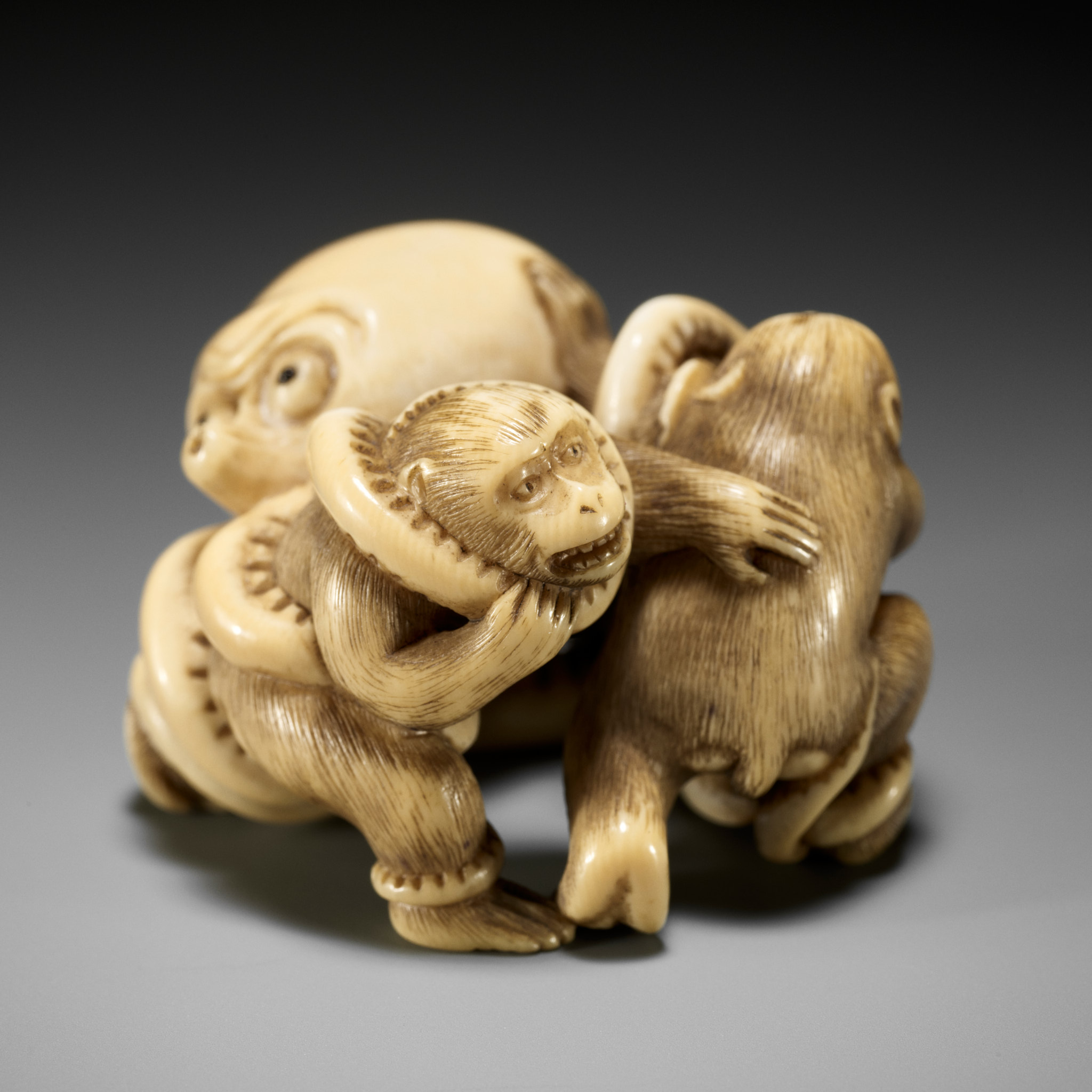 IKKOSAI: A SUPERB IVORY NETSUKE OF TWO MONKEYS FIGHTING AN OCTOPUS