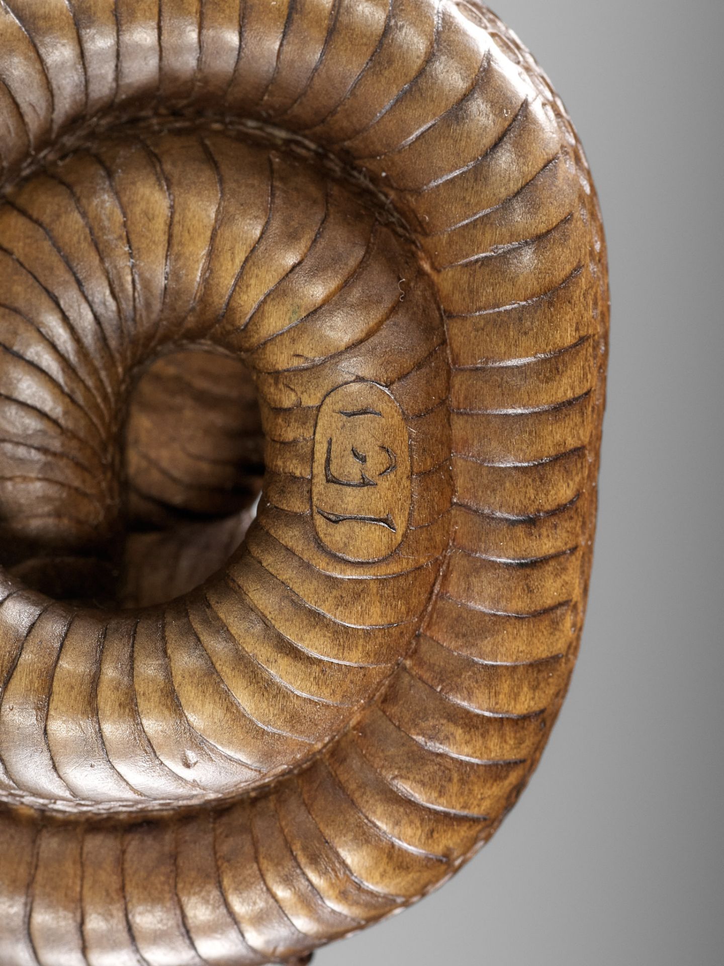 MASAKAZU: A FINE WOOD NETSUKE OF A COILED SNAKE - Image 15 of 15