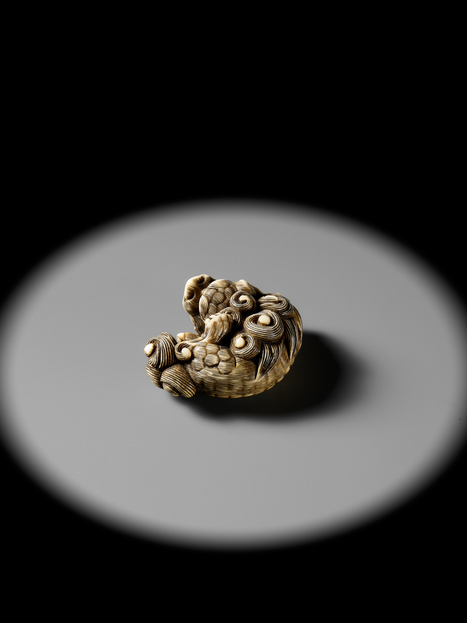 A RARE HIPPOPOTAMUS TOOTH NETSUKE OF A SHISHI SCRATCHING ITSELF - Image 8 of 12