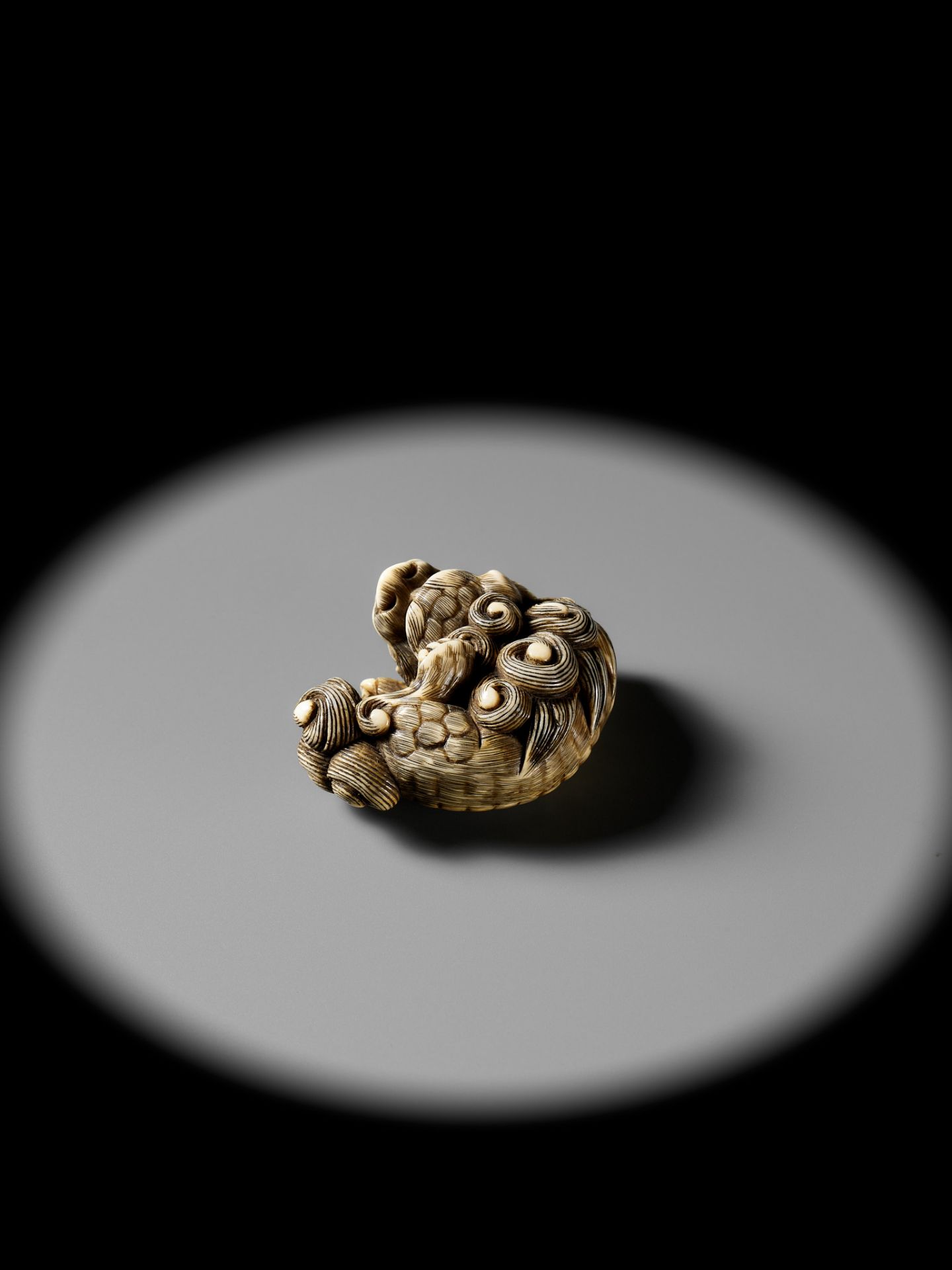 A RARE HIPPOPOTAMUS TOOTH NETSUKE OF A SHISHI SCRATCHING ITSELF - Bild 8 aus 12