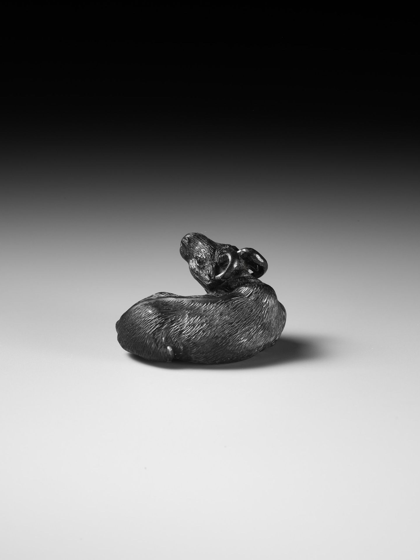 TATEKAWA KOSAI: AN EBONY WOOD NETSUKE OF A RECUMBENT OX - Image 7 of 13