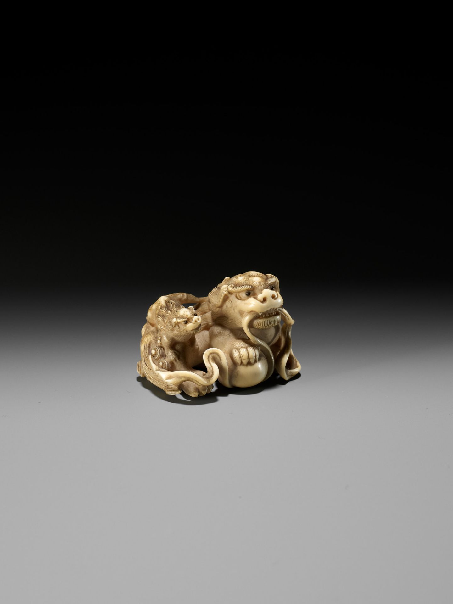 HAKURYU: A FINE IVORY NETSUKE OF A SHISHI AND YOUNG - Image 11 of 14