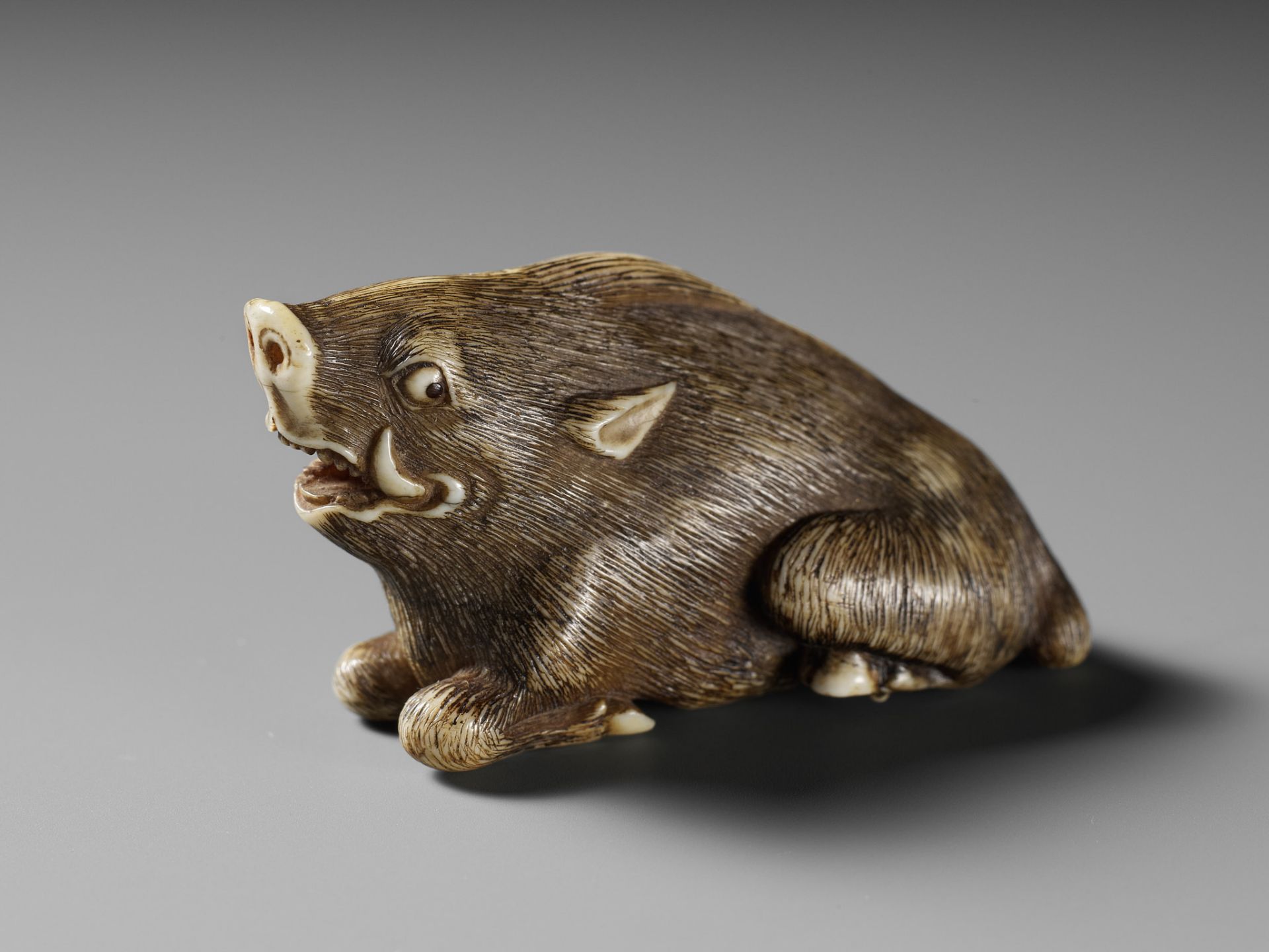 A KYOTO SCHOOL IVORY NETSUKE OF A FRIGHTENED RECLINING BOAR - Image 7 of 13