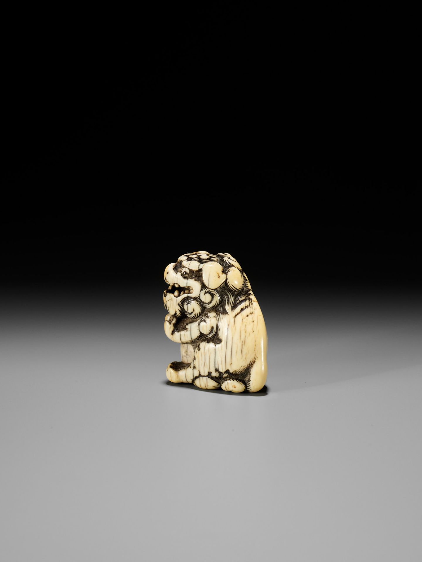 AN IVORY NETSUKE OF A SNARLING SHISHI WITH BALL - Bild 8 aus 13