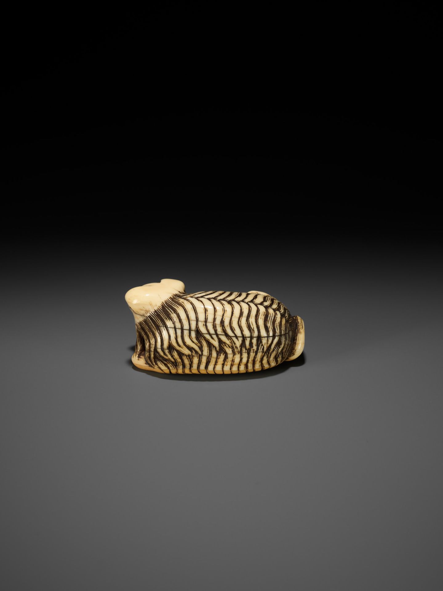 A RARE IVORY NETSUKE OF A JAKONEKO (MUSK CAT) - Bild 10 aus 13