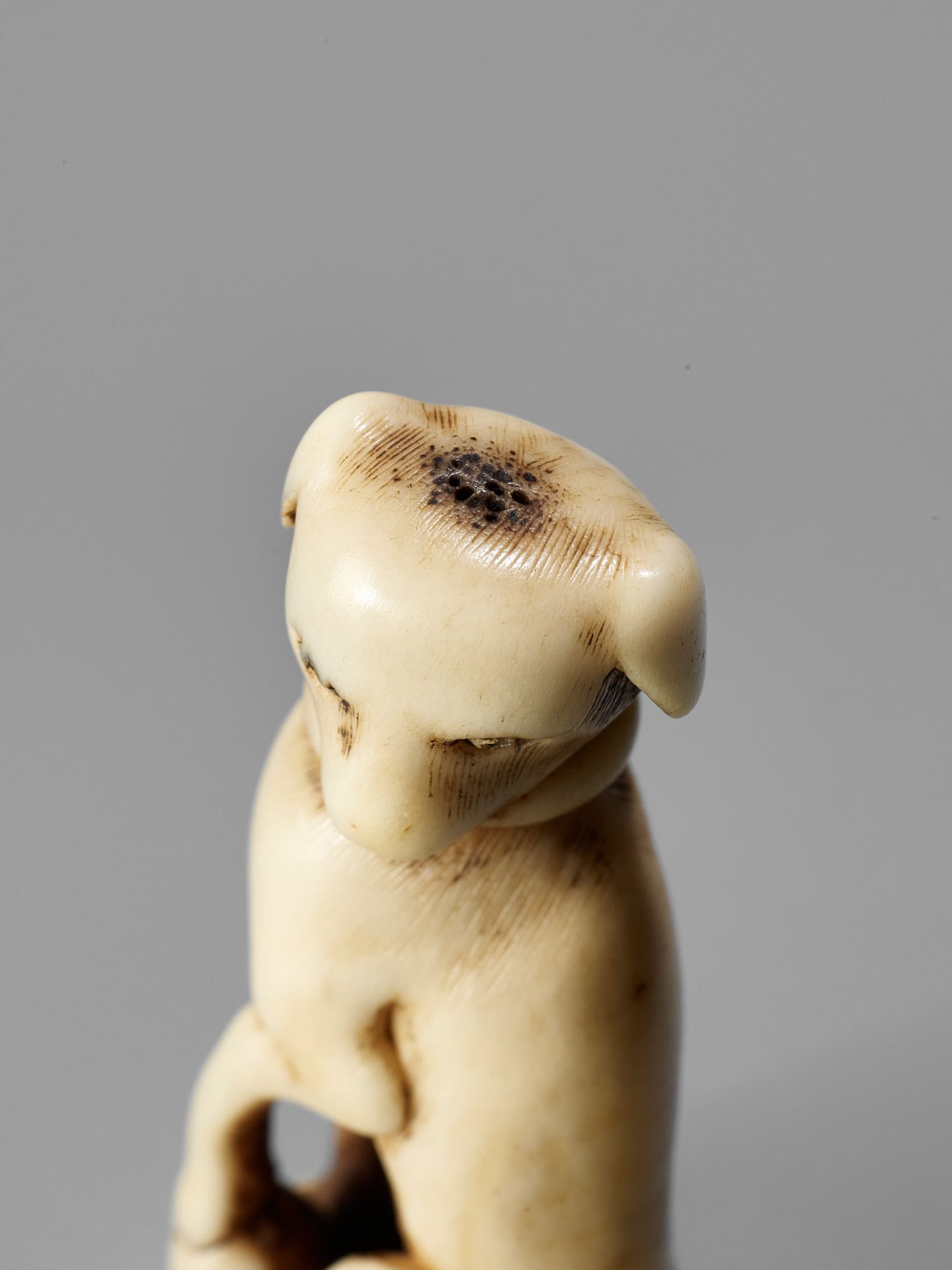 A KYOTO SCHOOL ANTLER NETSUKE OF A DOG - Image 2 of 13