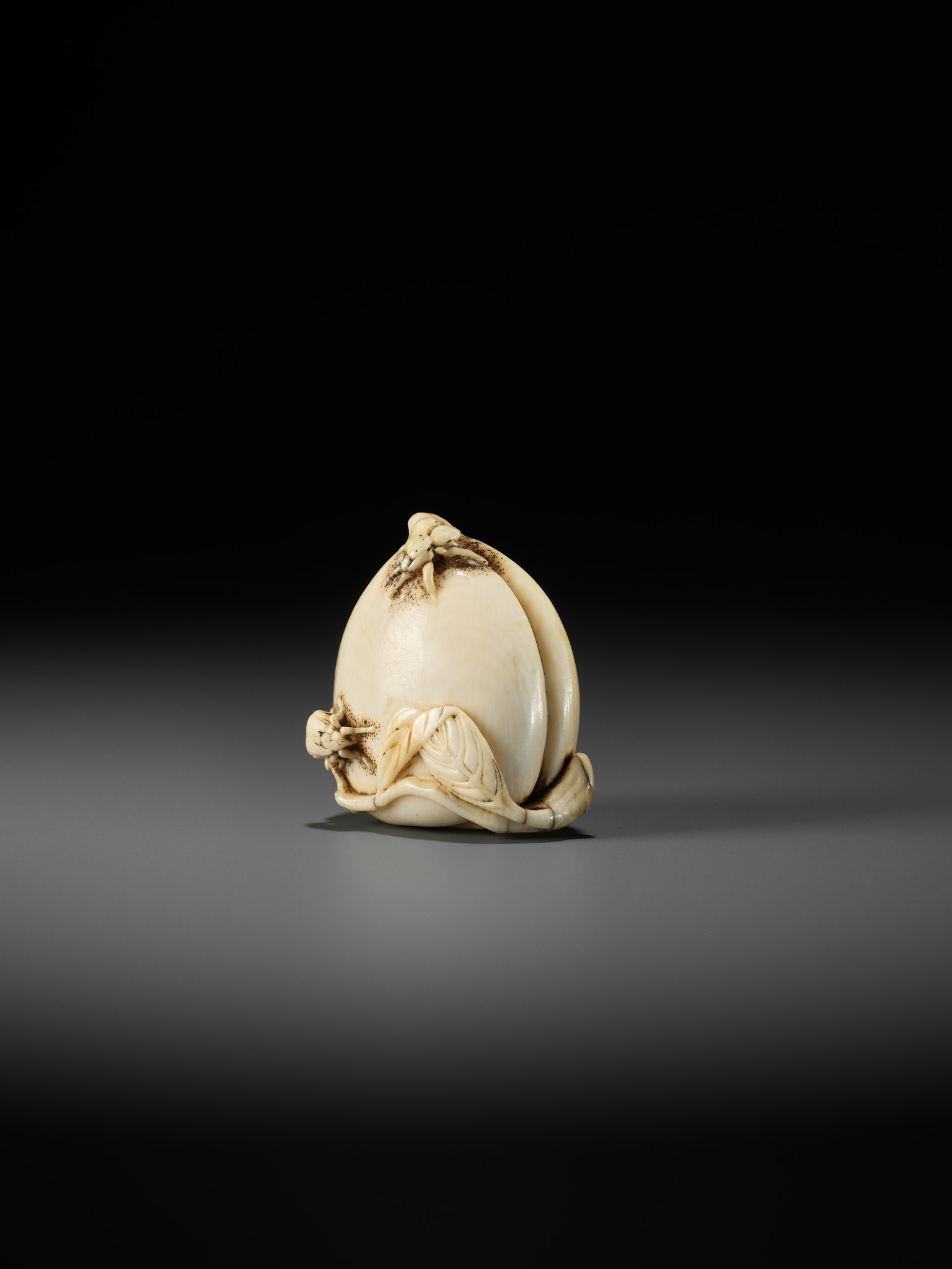 AN IVORY NETSUKE OF A PEACH WITH INSECTS - Image 3 of 10