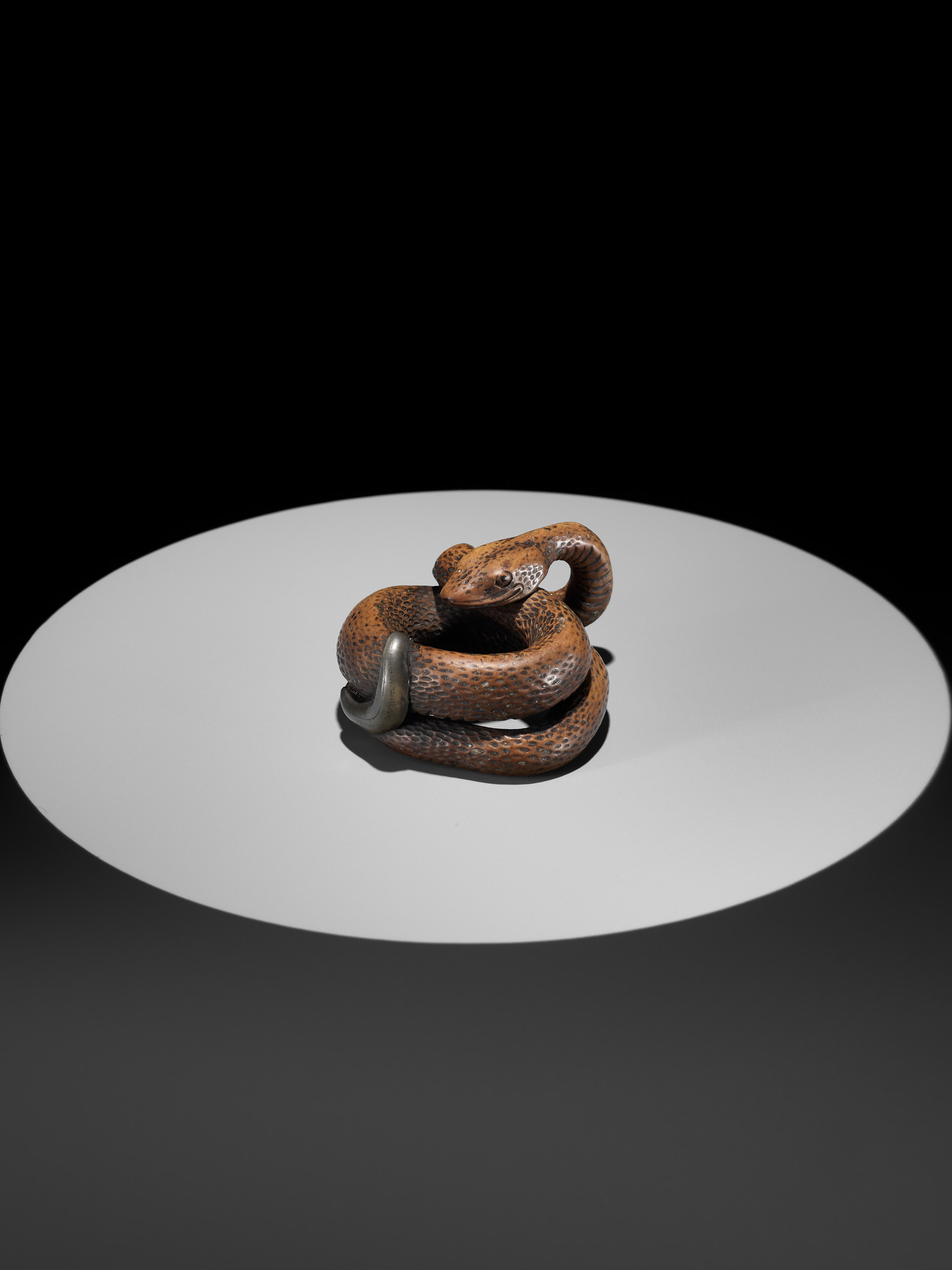 A LARGE AND POWERFUL WOOD NETSUKE OF A COILED SNAKE WITH AN INLAID SLUG BY TOMOKAZU - Image 3 of 13