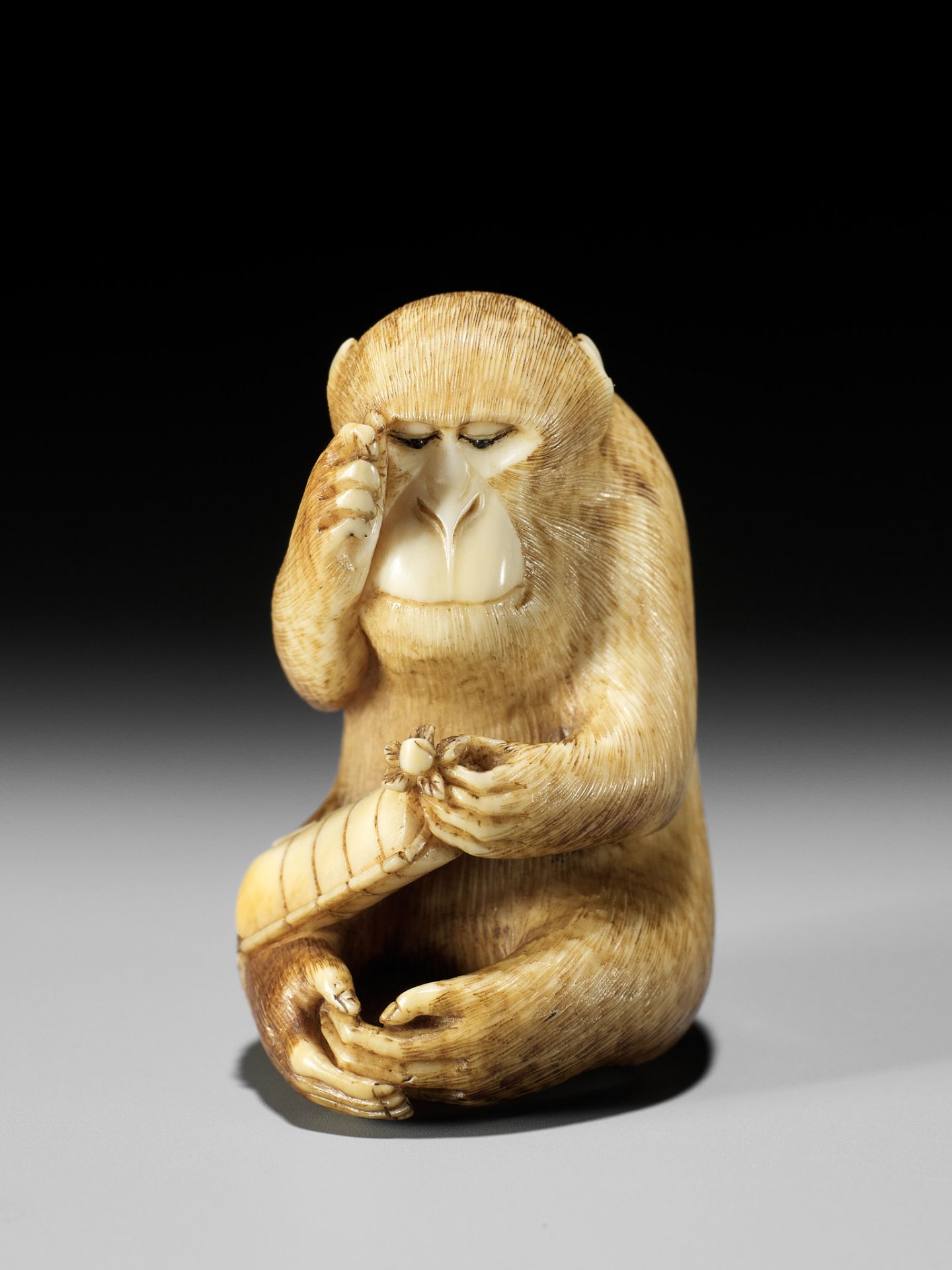 MASATOMO: AN AMUSING IVORY NETSUKE OF A SEATED MONKEY STUDYING A PEACH NETSUKE - Bild 12 aus 15