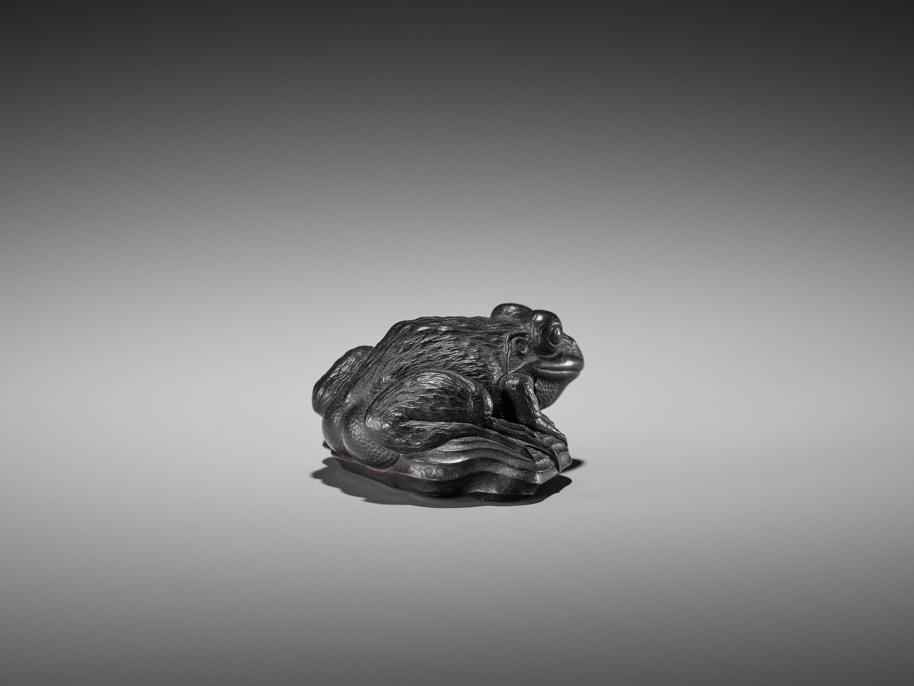 A SUPERB EBONY WOOD NETSUKE OF A FROG ON DRIFTWOOD ATTRIBUTED TO SEIYODO TOMIHARU - Image 12 of 20