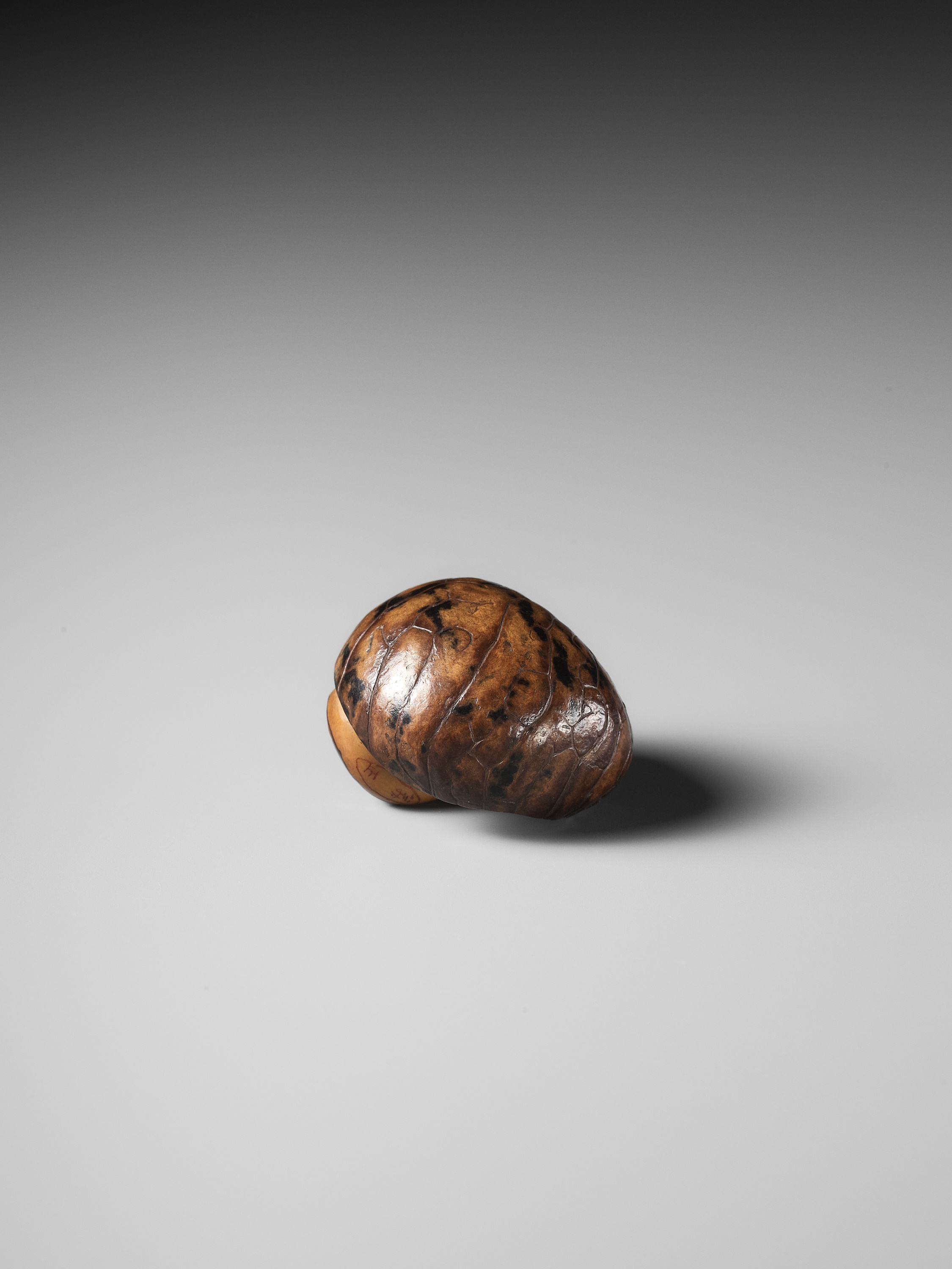 YOSHIMASA: A RARE COROZO NUT NETSUKE OF TWO MUSHROOMS AND A WORM - Image 10 of 11