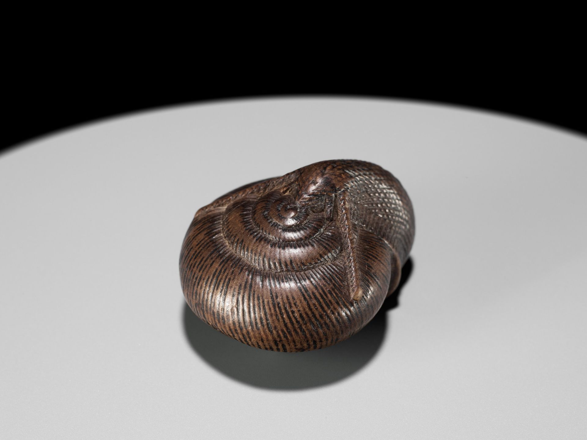 SARI: A FINE WOOD NETSUKE OF A SNAIL EMERGING FROM ITS SHELL - Bild 3 aus 17