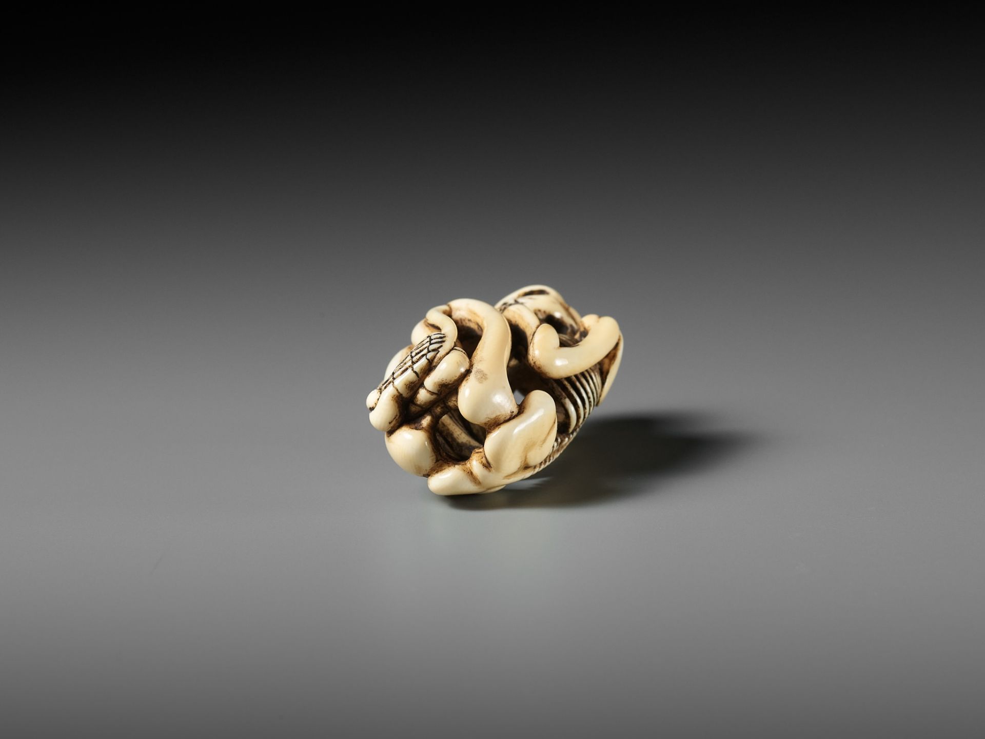 A FINE IVORY NETSUKE OF A SKELETON - Image 12 of 13