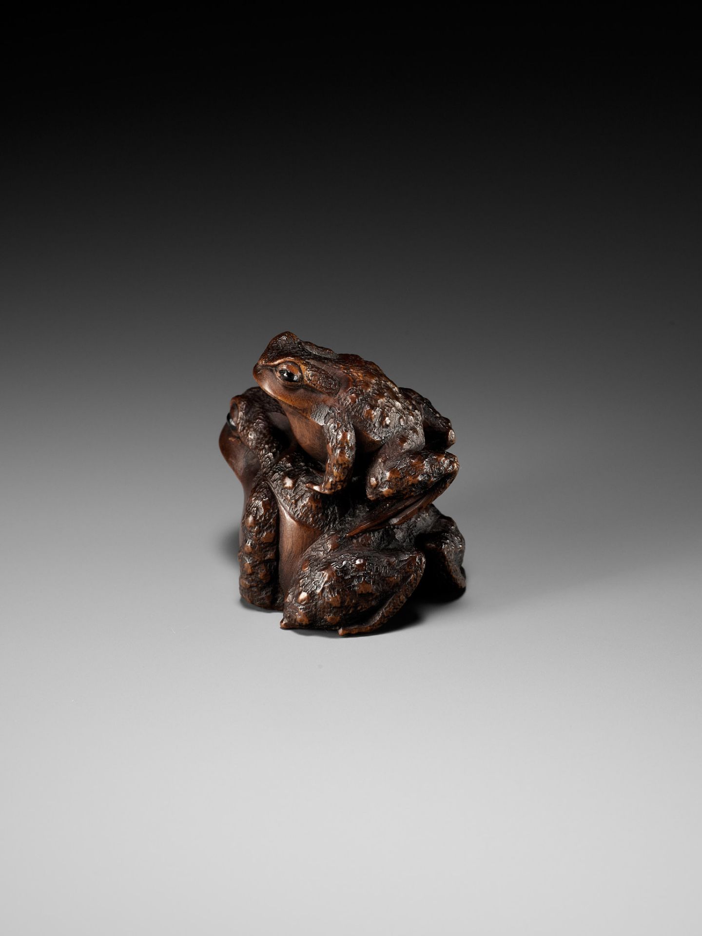 MASANAO: A FINE WOOD NETSUKE OF A TOAD WITH YOUNG - Image 9 of 15