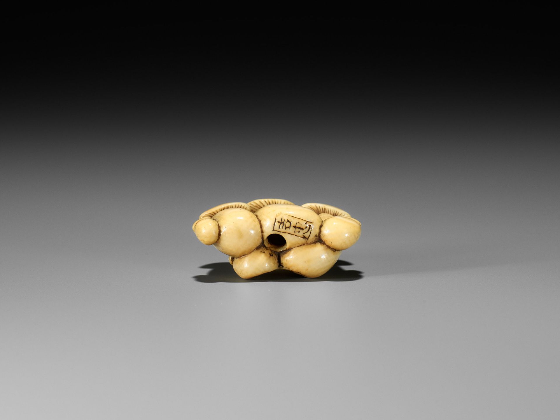 YOSHITADA: A FINE IVORY NETSUKE OF A CLUSTER OF MUSHROOMS - Bild 9 aus 11