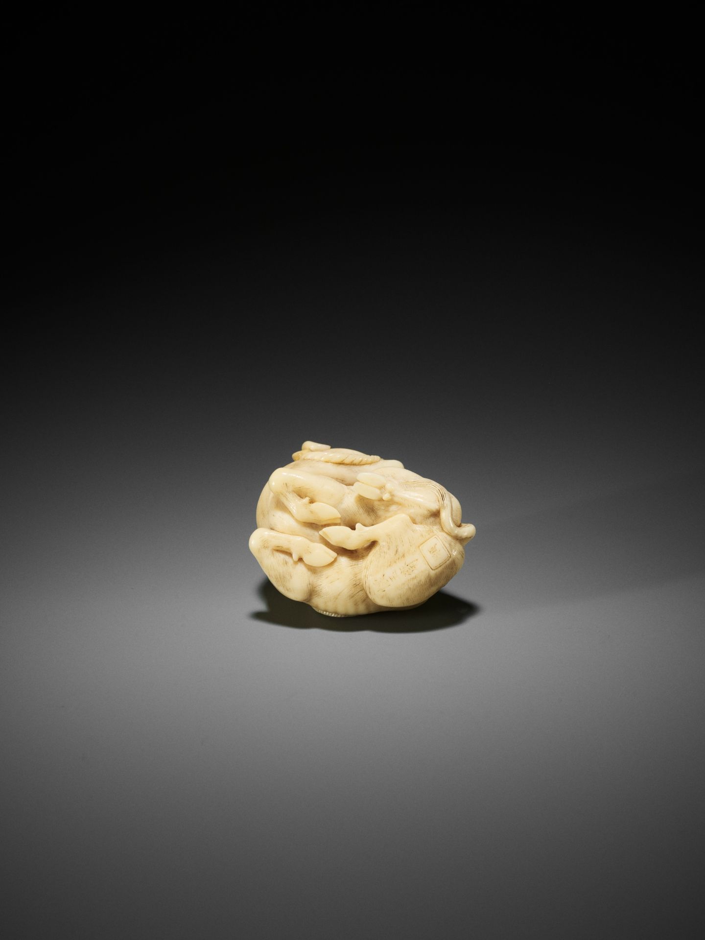 KAIGYOKUSAI MASATSUGU: A MASTERFUL AND IMPORTANT IVORY NETSUKE OF A RECUMBENT OX - Image 19 of 30