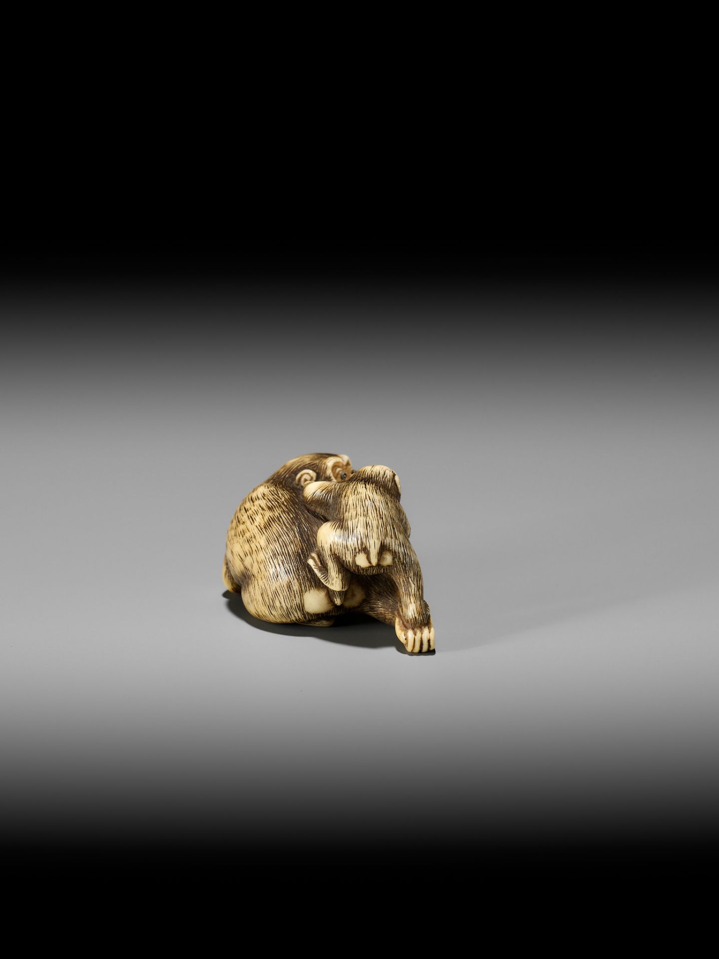 GARAKU: AN IVORY NETSUKE OF A MONKEY WITH YOUNG - Image 8 of 13